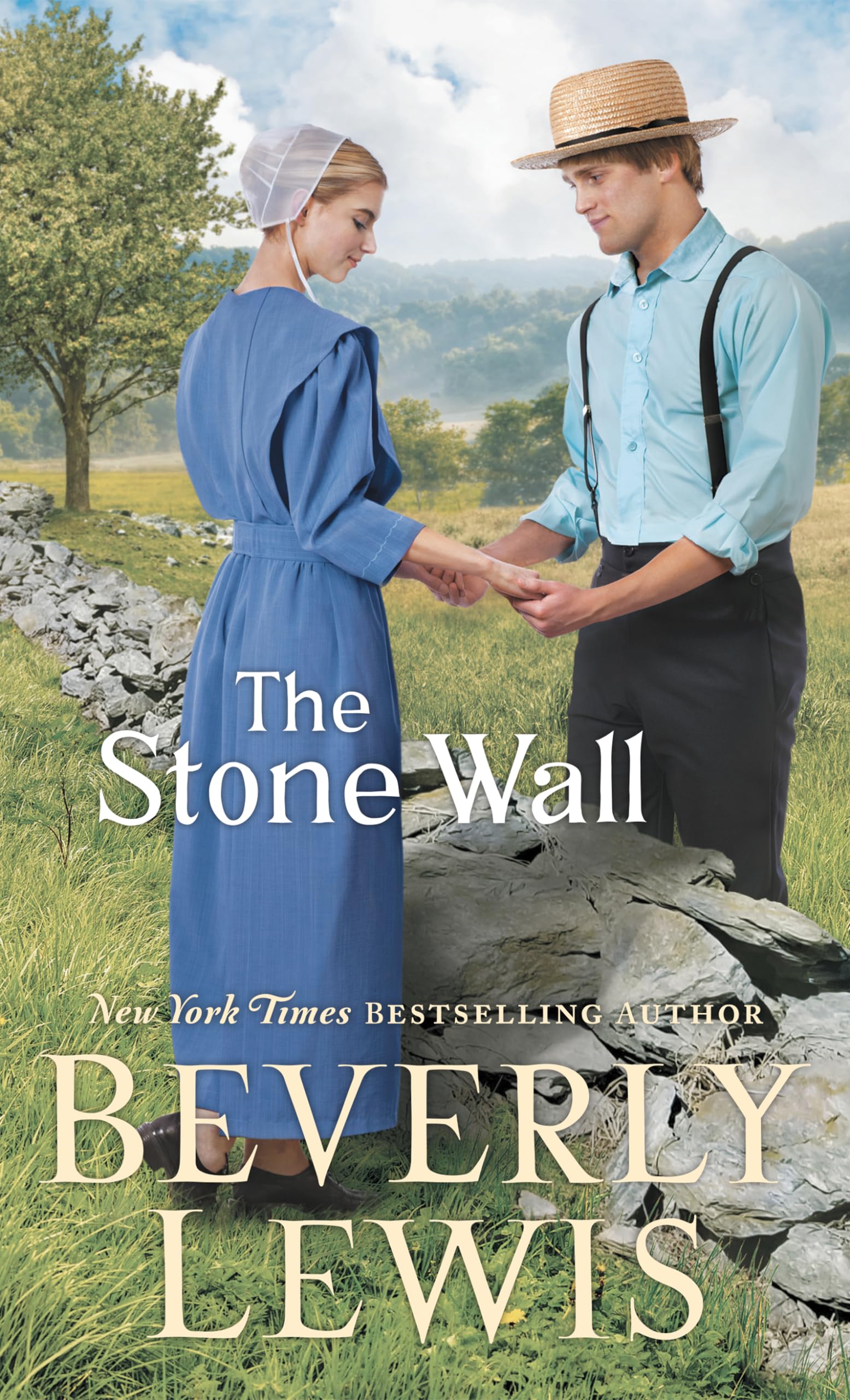 The Stone Wall (Thorndike Press Large Print Christian Fiction),Used