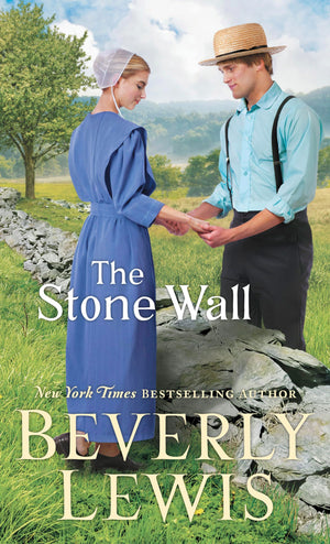 The Stone Wall (Thorndike Press Large Print Christian Fiction),Used