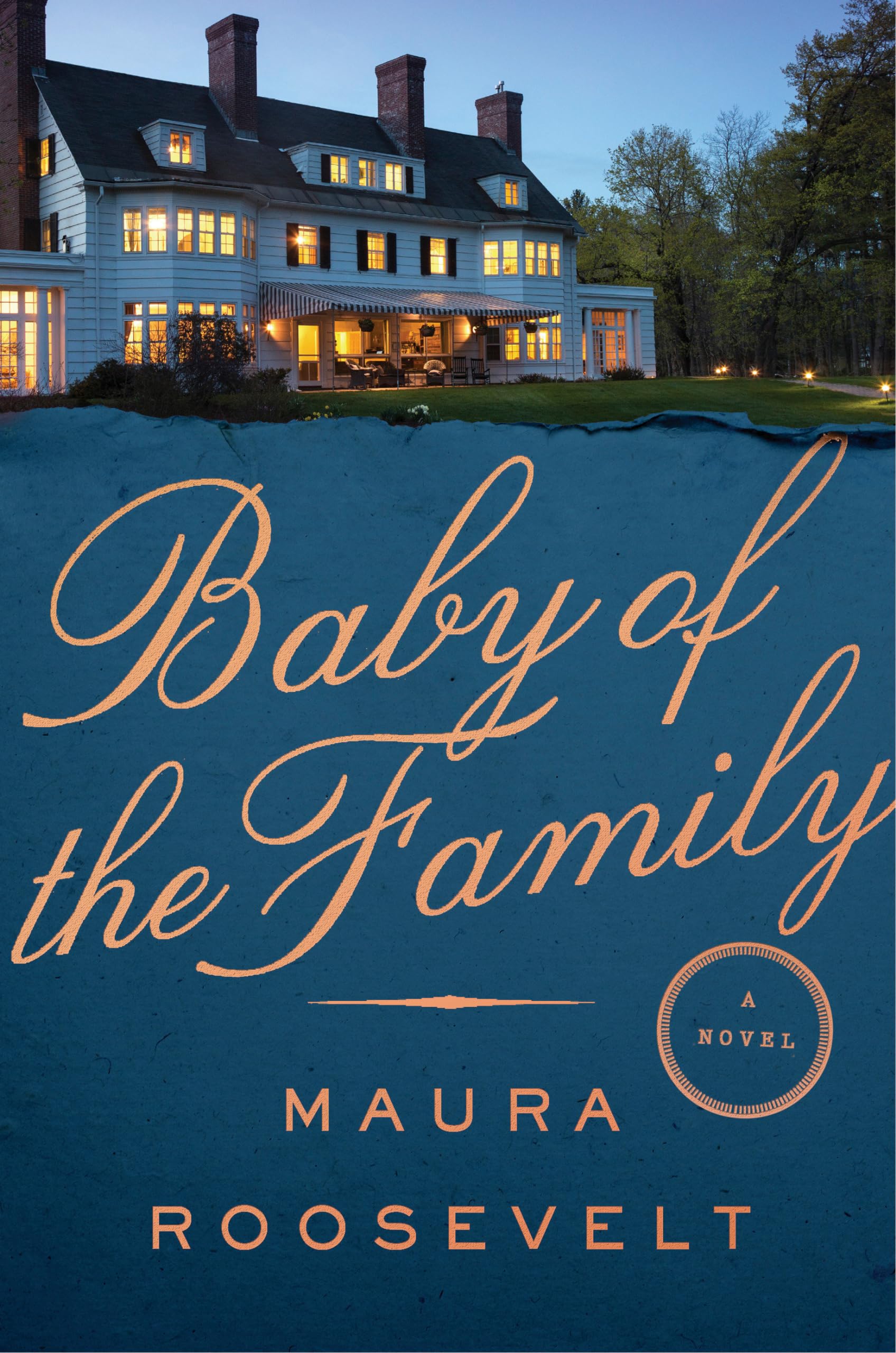 Baby of the Family: A Novel,Used