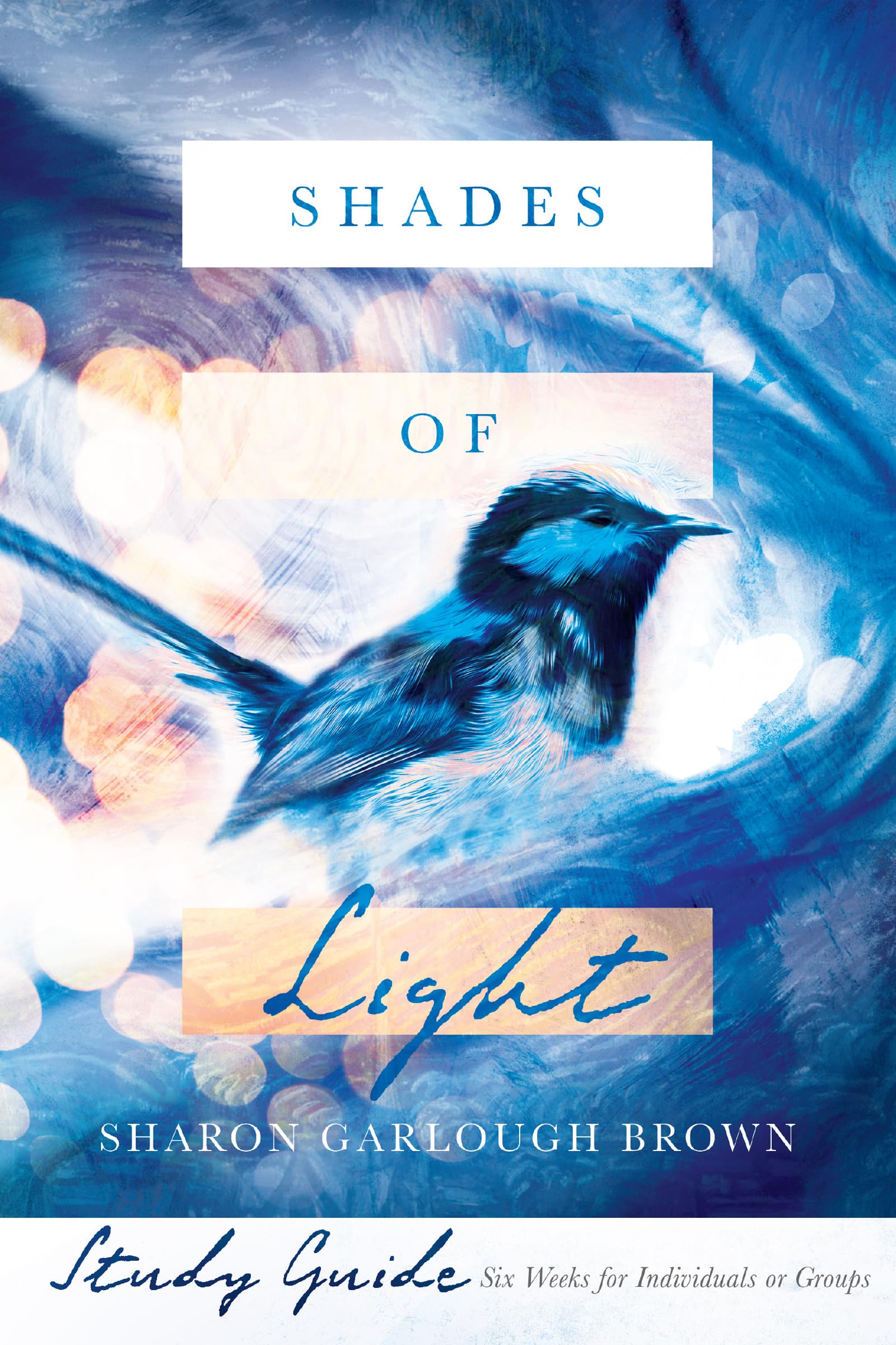 Shades of Light Study Guide,Used