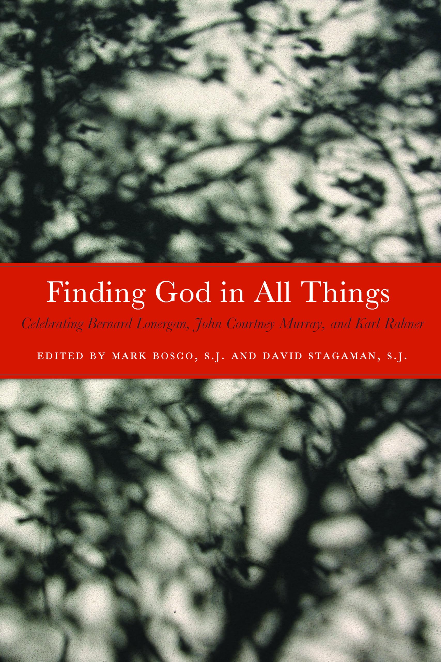 Finding God In All Things: Celebrating Bernard Lonergan, John Courtney Murray, And Karl Rahner,Used