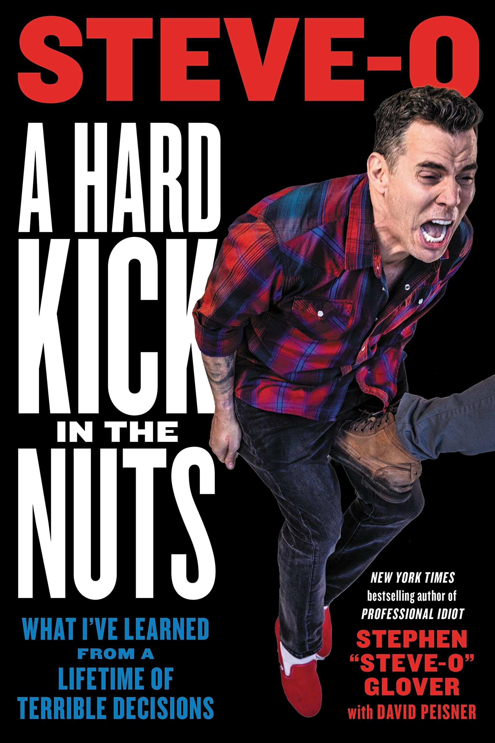 A Hard Kick In The Nuts: What I'Ve Learned From A Lifetime Of Terrible Decisions,Used