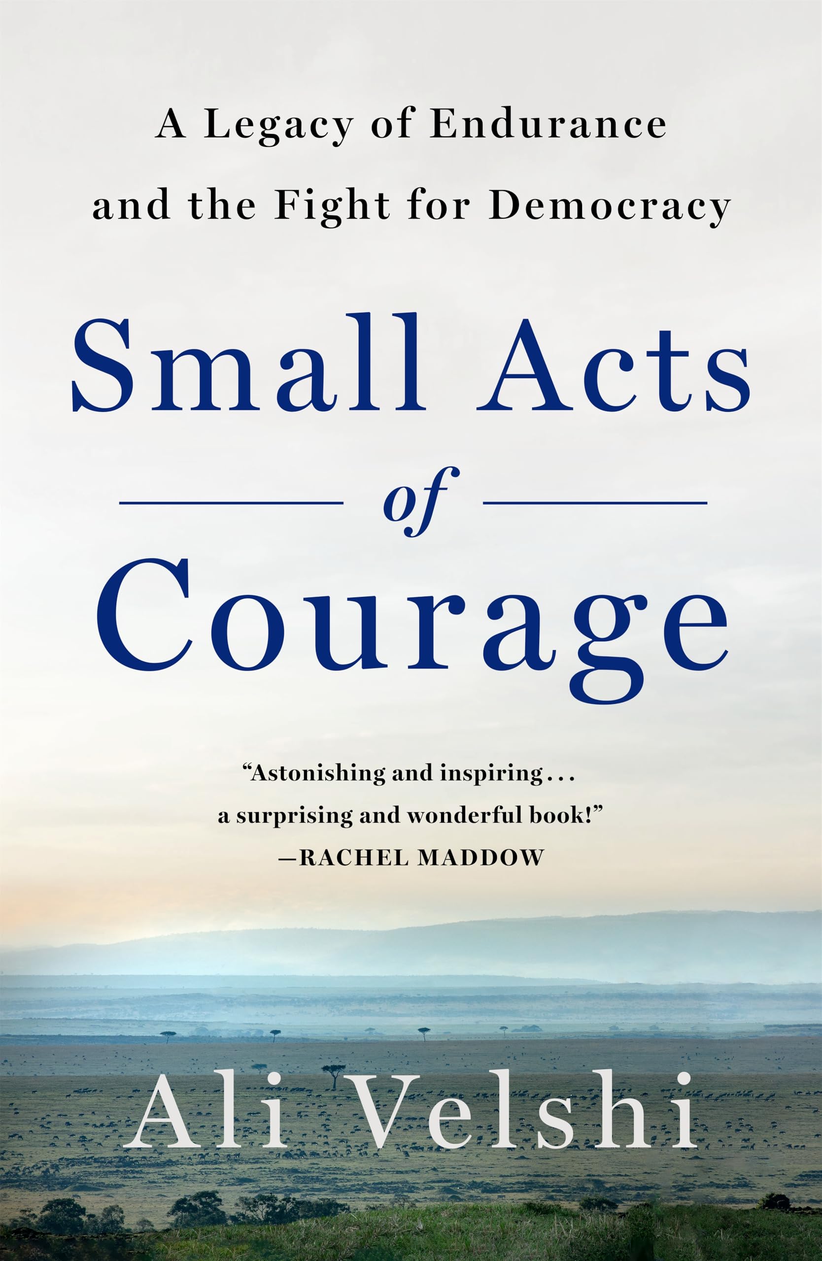 Small Acts Of Courage: A FamilyS Legacy Of Endurance And The Fight For Democracy