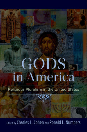Gods in America: Religious Pluralism in the United States,Used