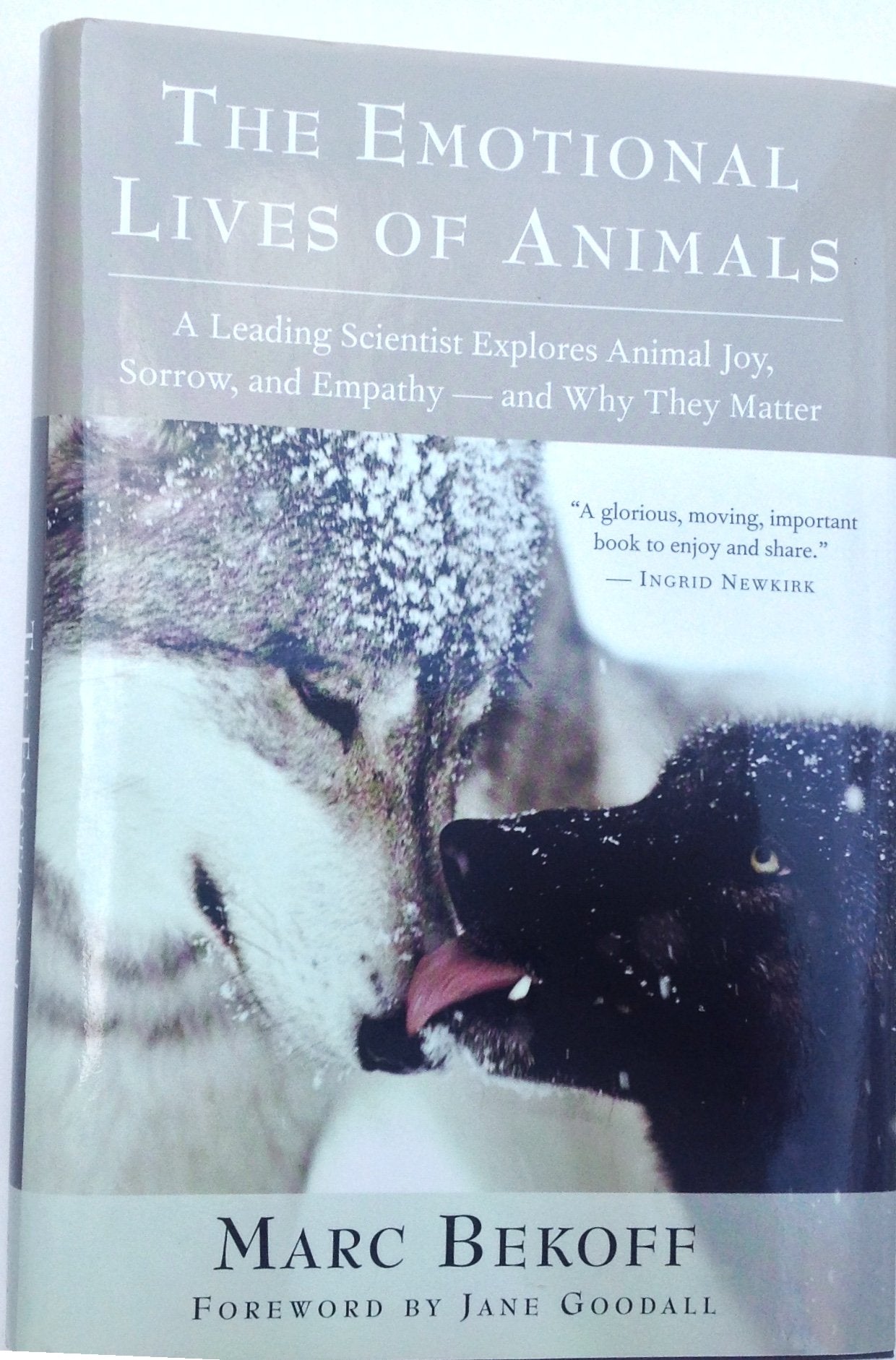 The Emotional Lives Of Animals: A Leading Scientist Explores Animal Joy, Sorrow, And Empathy And Why They Matter
