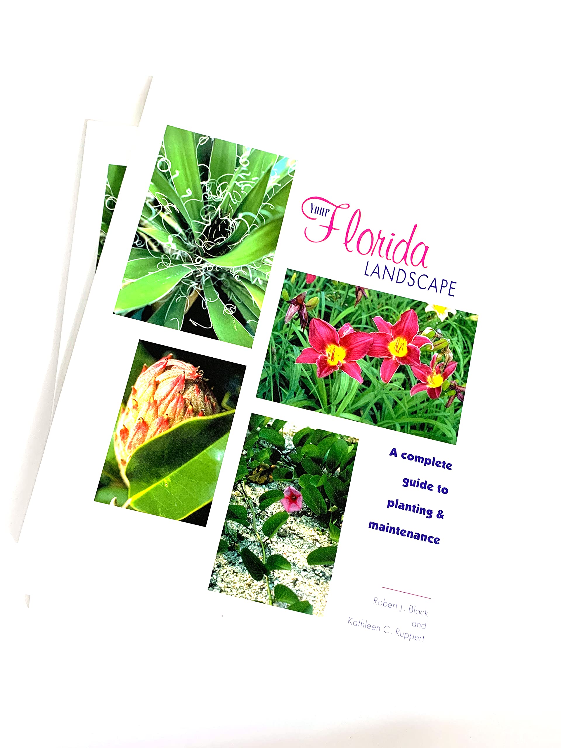 Your Florida Landscape: A Complete Guide To Planting And Maintenance,Used