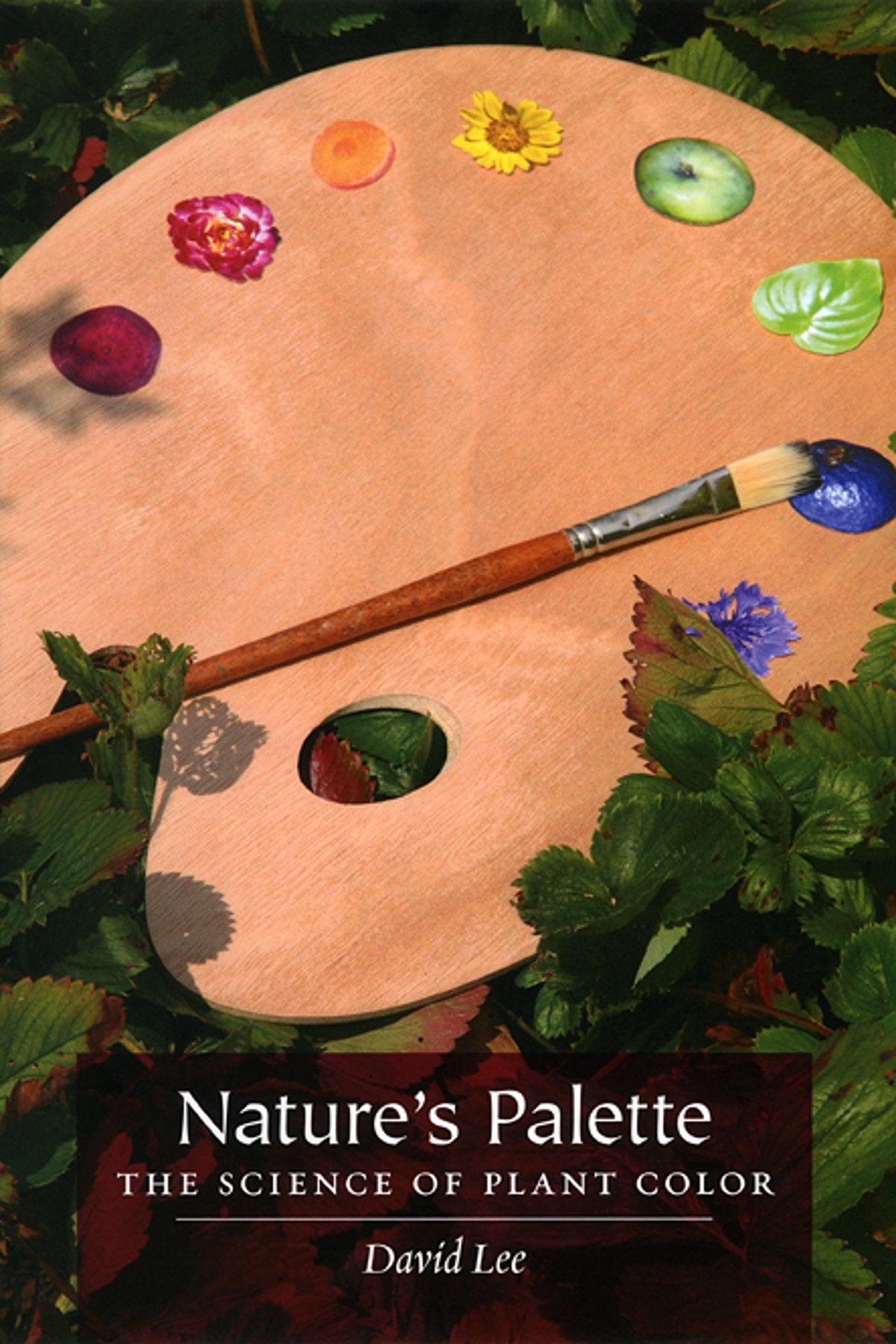 Nature'S Palette: The Science Of Plant Color