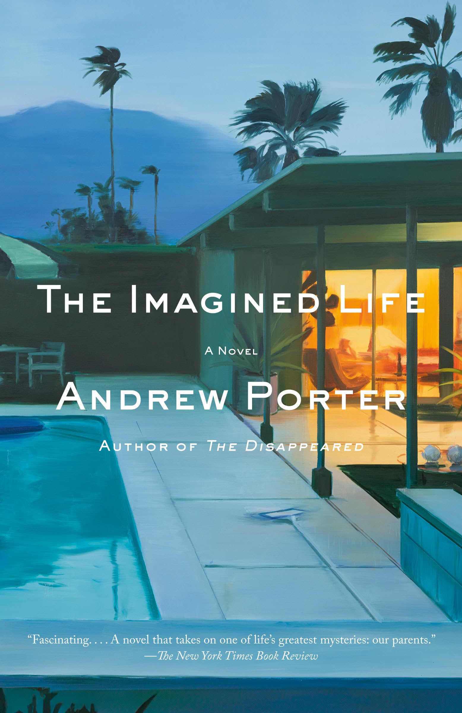 The Imagined Life: A Novel