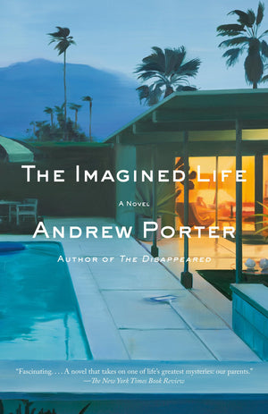 The Imagined Life: A Novel
