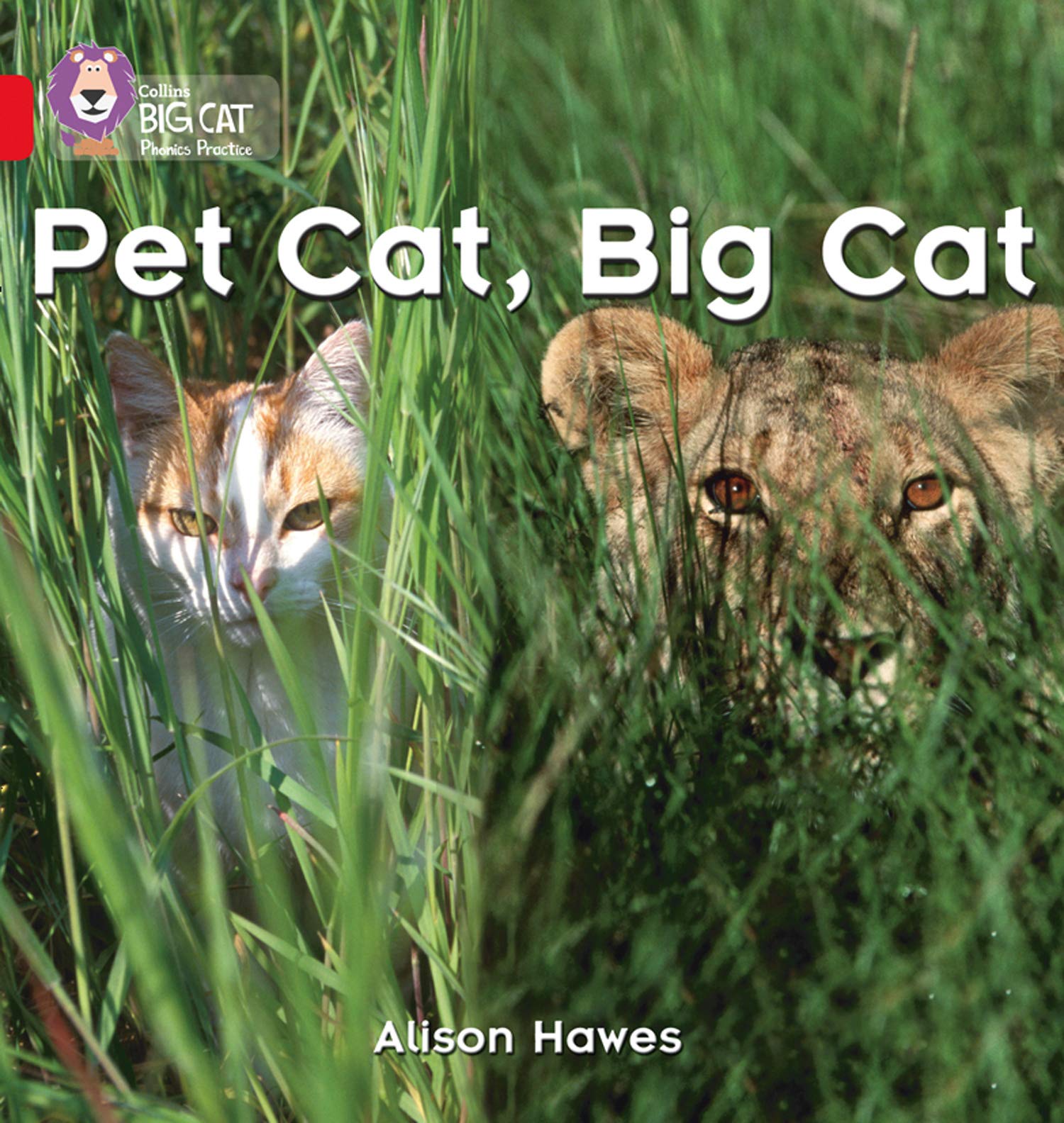 Pet Cat, Big Cat: Red / Band 2A (Collins Big Cat),Used
