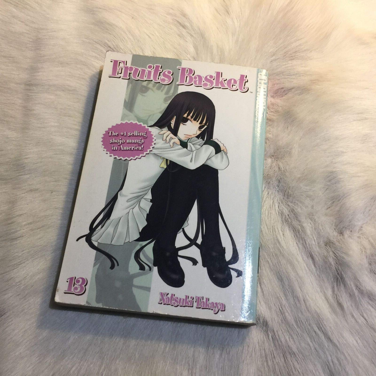 Fruits Basket, Vol. 13,New