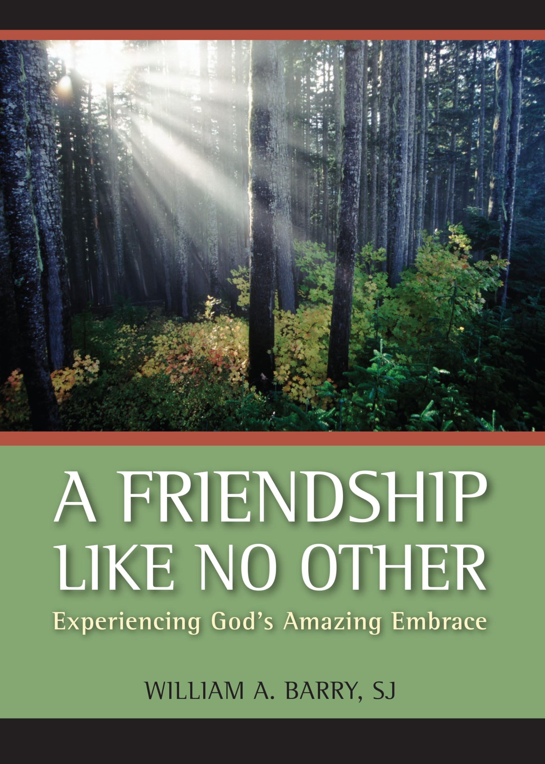 A Friendship Like No Other: Experiencing God's Amazing Embrace,Used