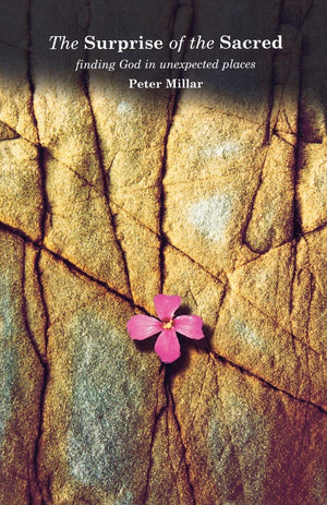 The Surprise of the Sacred: Finding God in Unexpected Places,Used