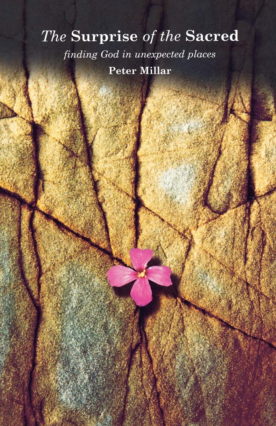The Surprise of the Sacred: Finding God in Unexpected Places,Used