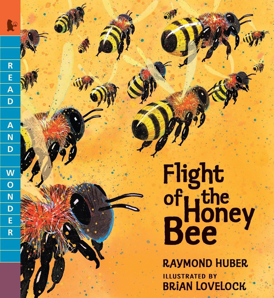 Flight Of The Honey Bee: Read And Wonder