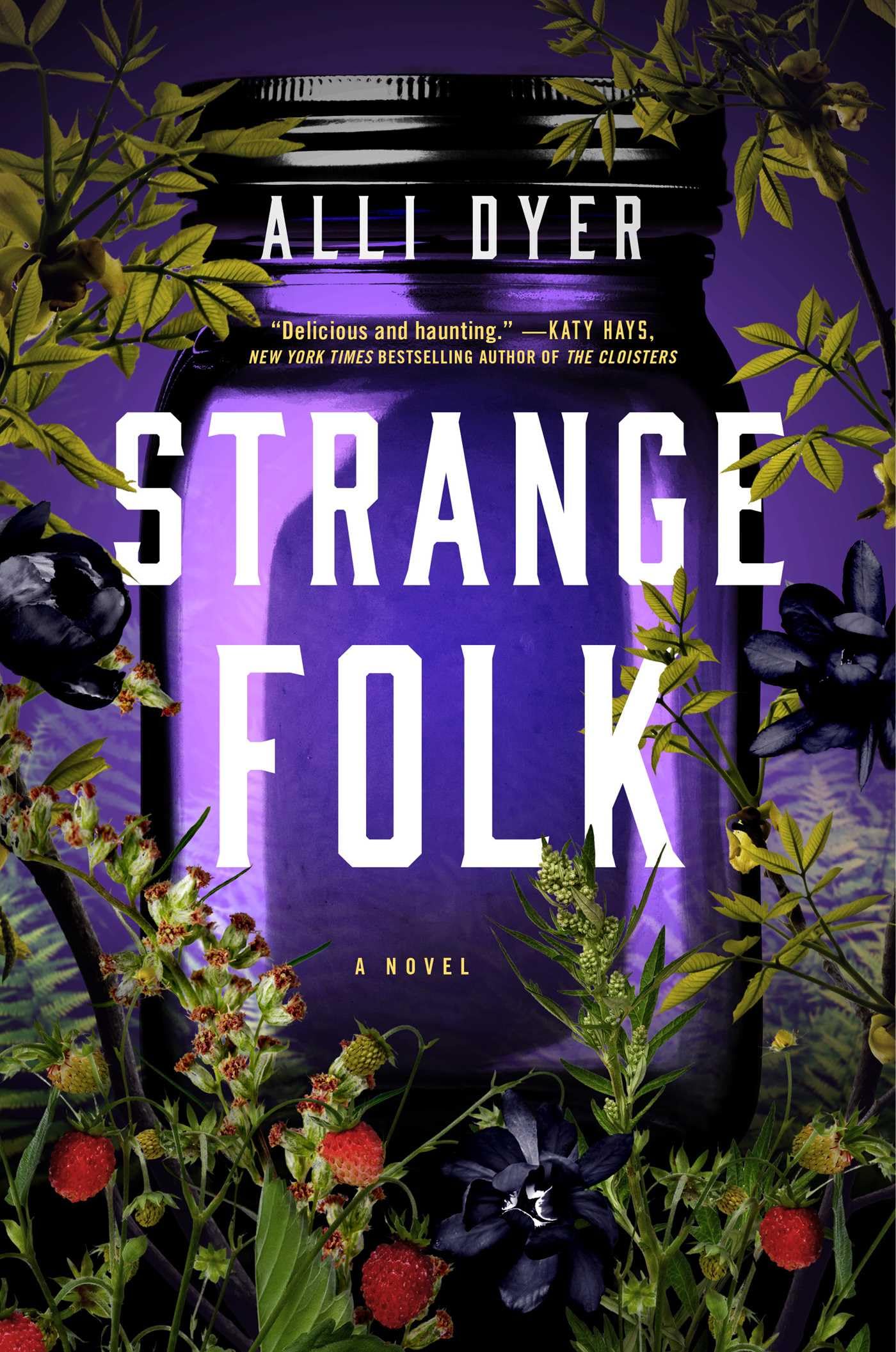 Strange Folk: A Novel,Used