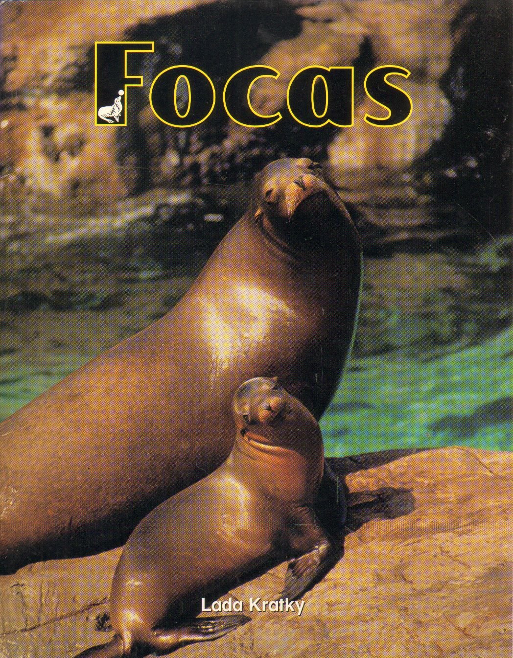 Elefonetica Orange: Focas Small Book,Used