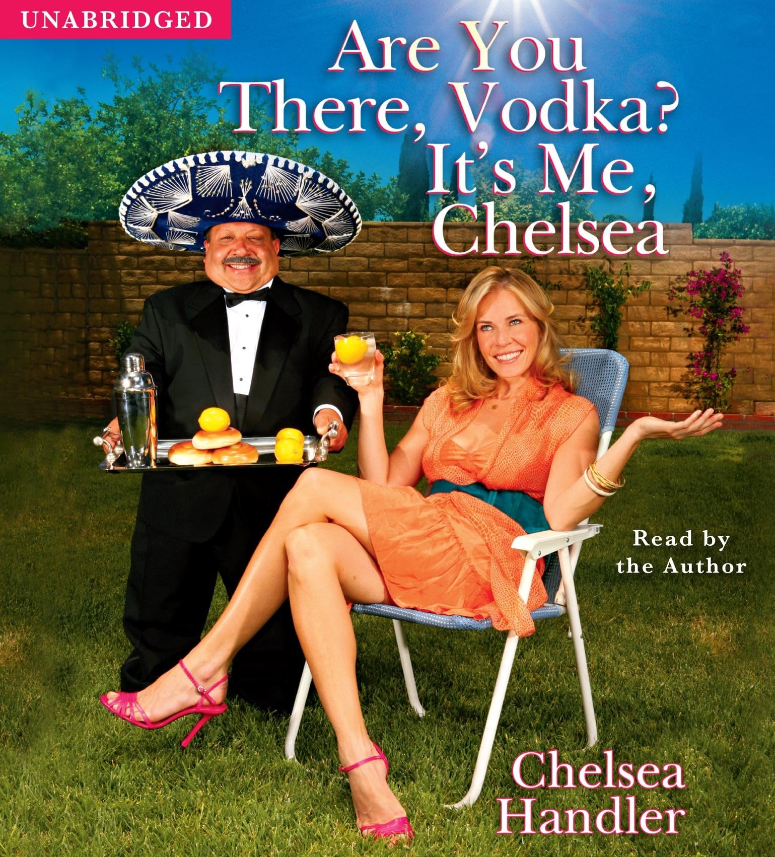 Are You There, Vodka? It's Me, Chelsea,Used