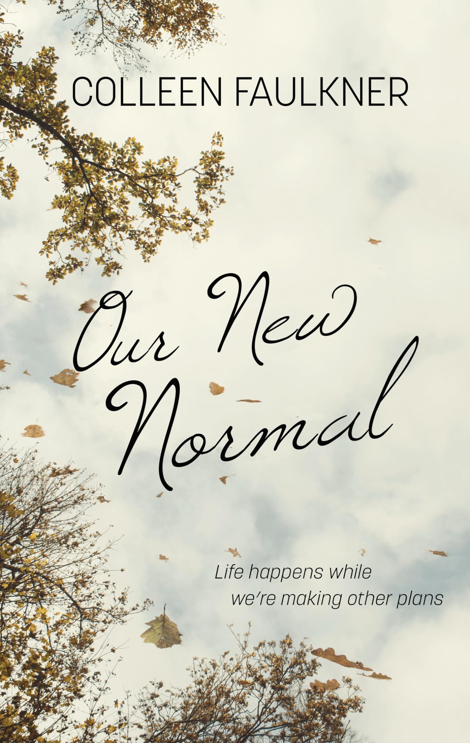 Our New Normal,Used