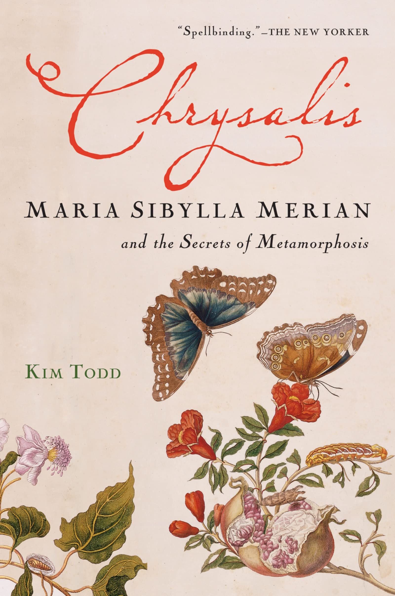 Chrysalis: Maria Sibylla Merian and the Secrets of Metamorphosis,Used