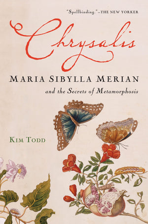Chrysalis: Maria Sibylla Merian and the Secrets of Metamorphosis,Used