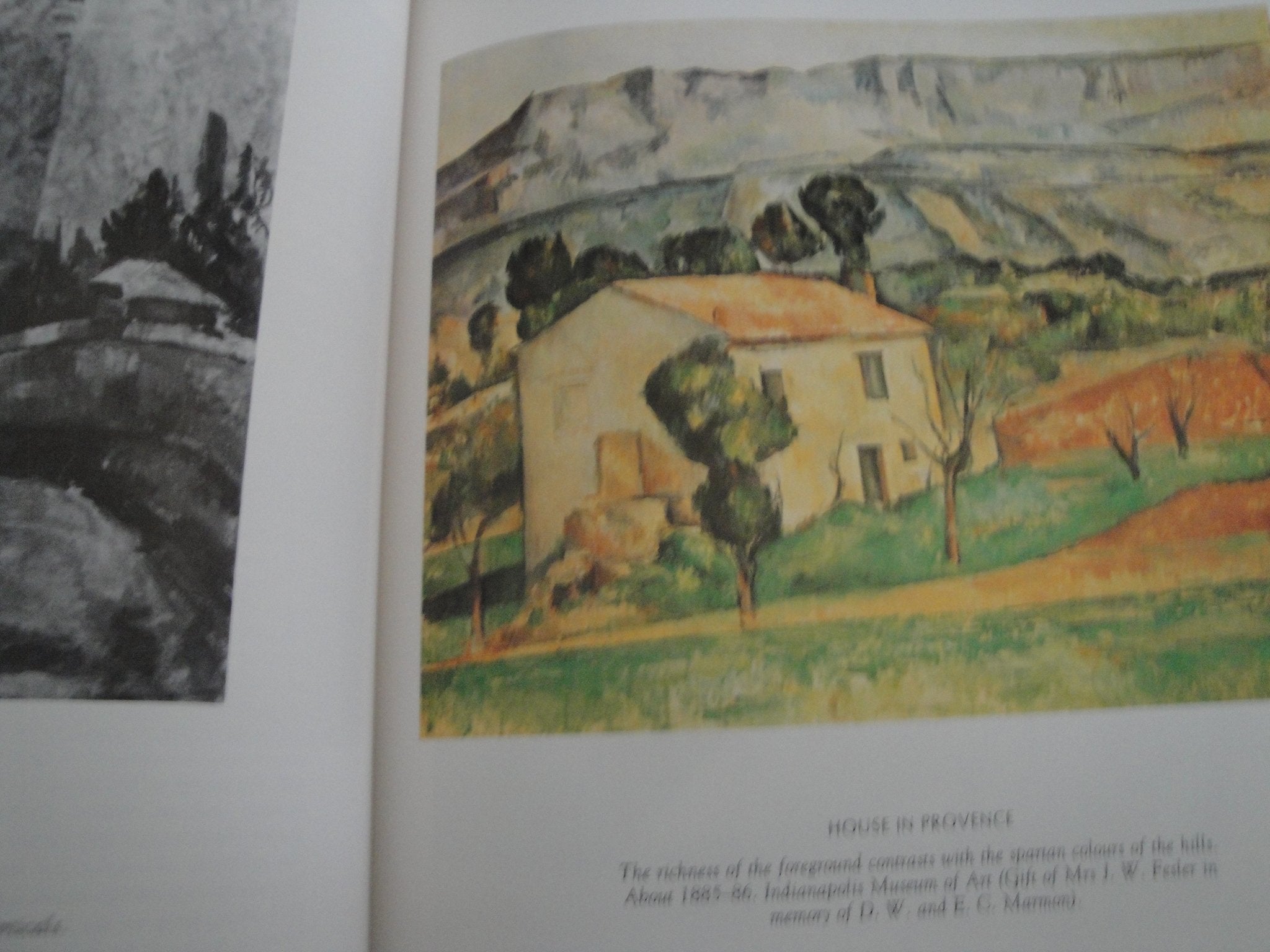 The Paintings of Cezanne,Used