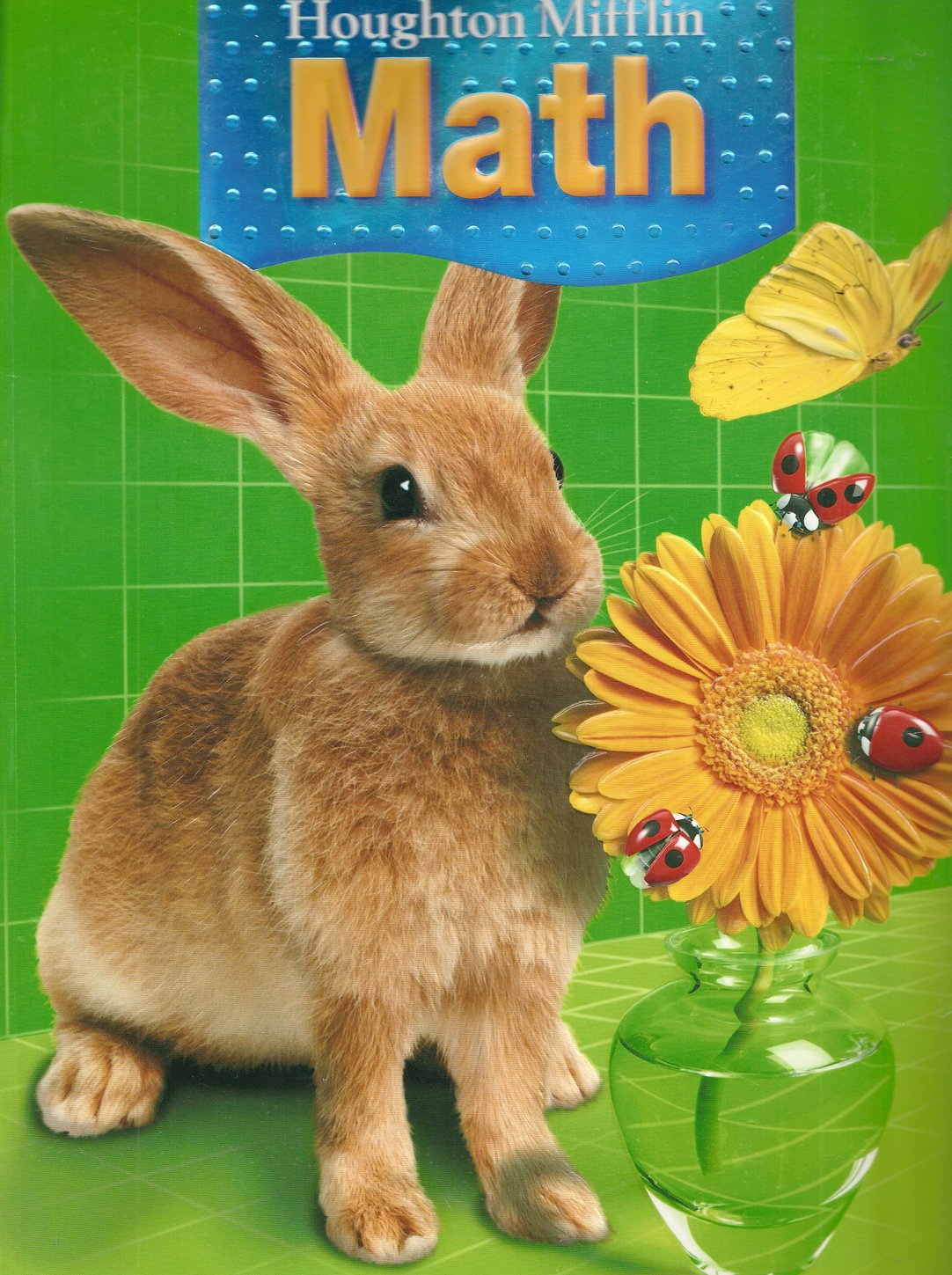Houghton Mifflin Math: Grade K, Student Book,New