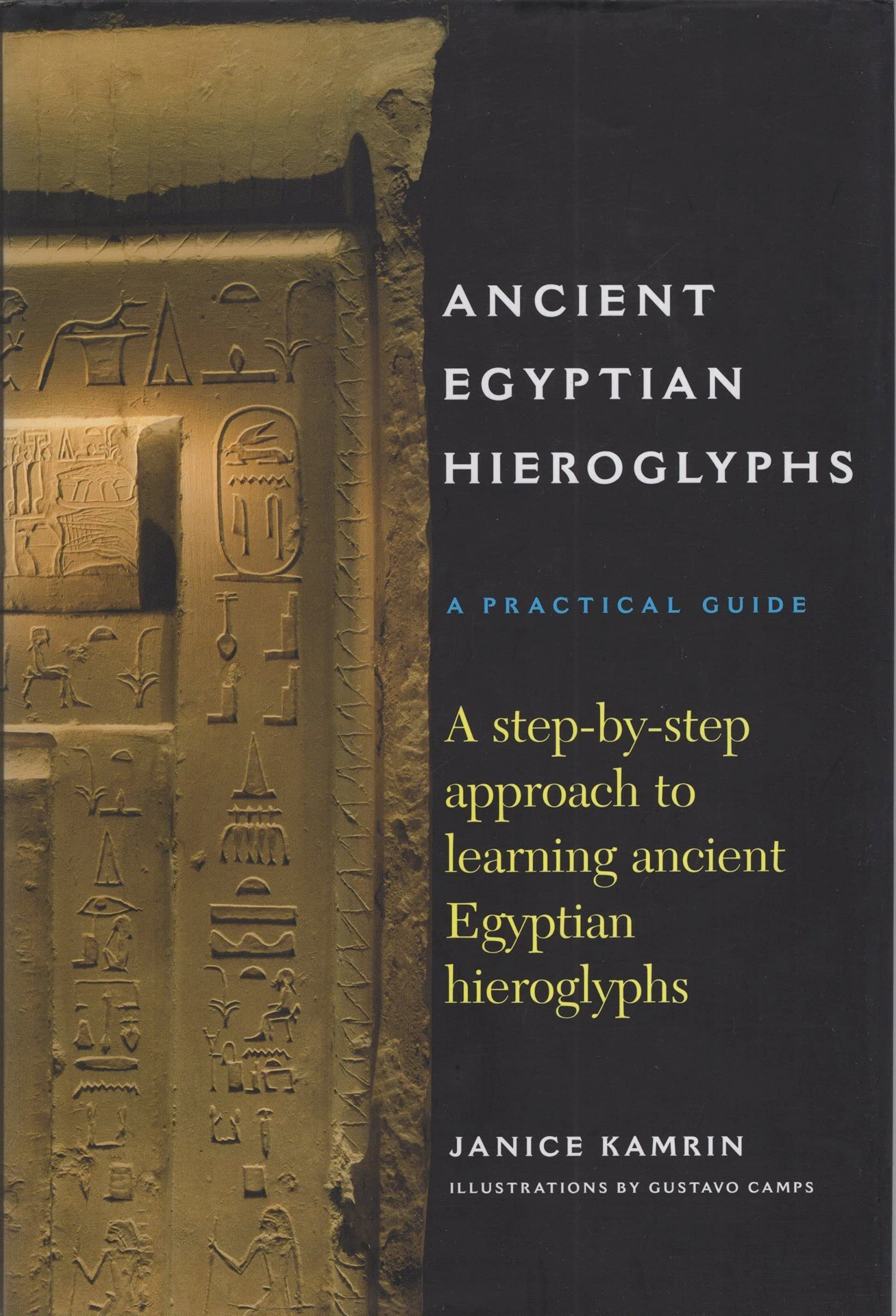 Ancient Egyptian Hieroglyphs: A Practical Guide  A StepbyStep Approach to Learning Ancient Egyptian Hieroglyphs,New