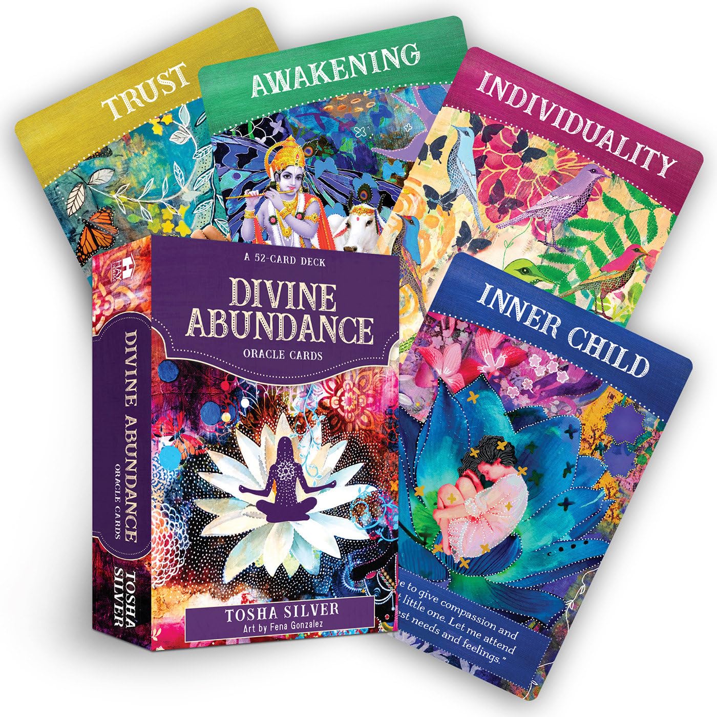 Divine Abundance Oracle Cards: A 51Card Deck,New