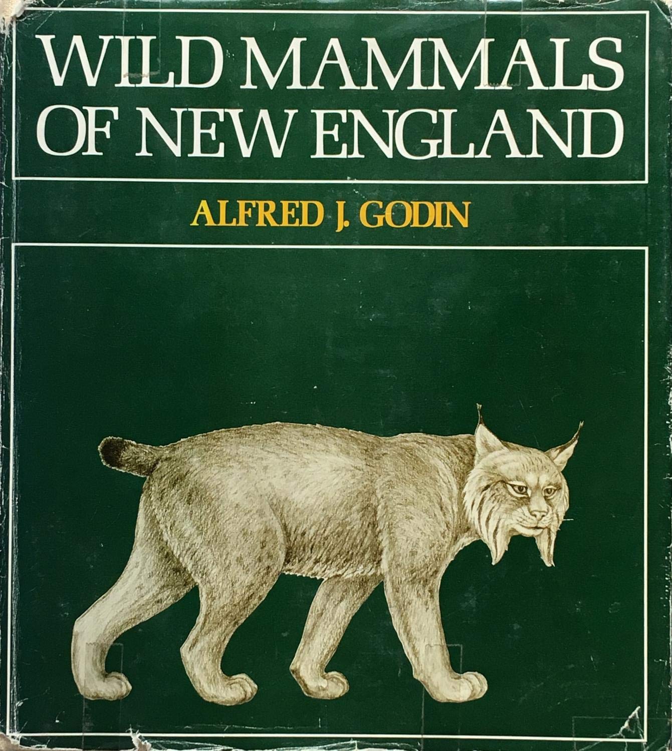 Wild Mammals of New England,Used