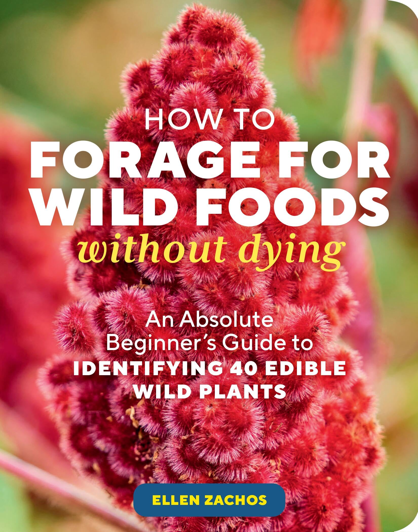How To Forage For Wild Foods Without Dying: An Absolute Beginner'S Guide To Identifying 40 Edible Wild Plants,Used
