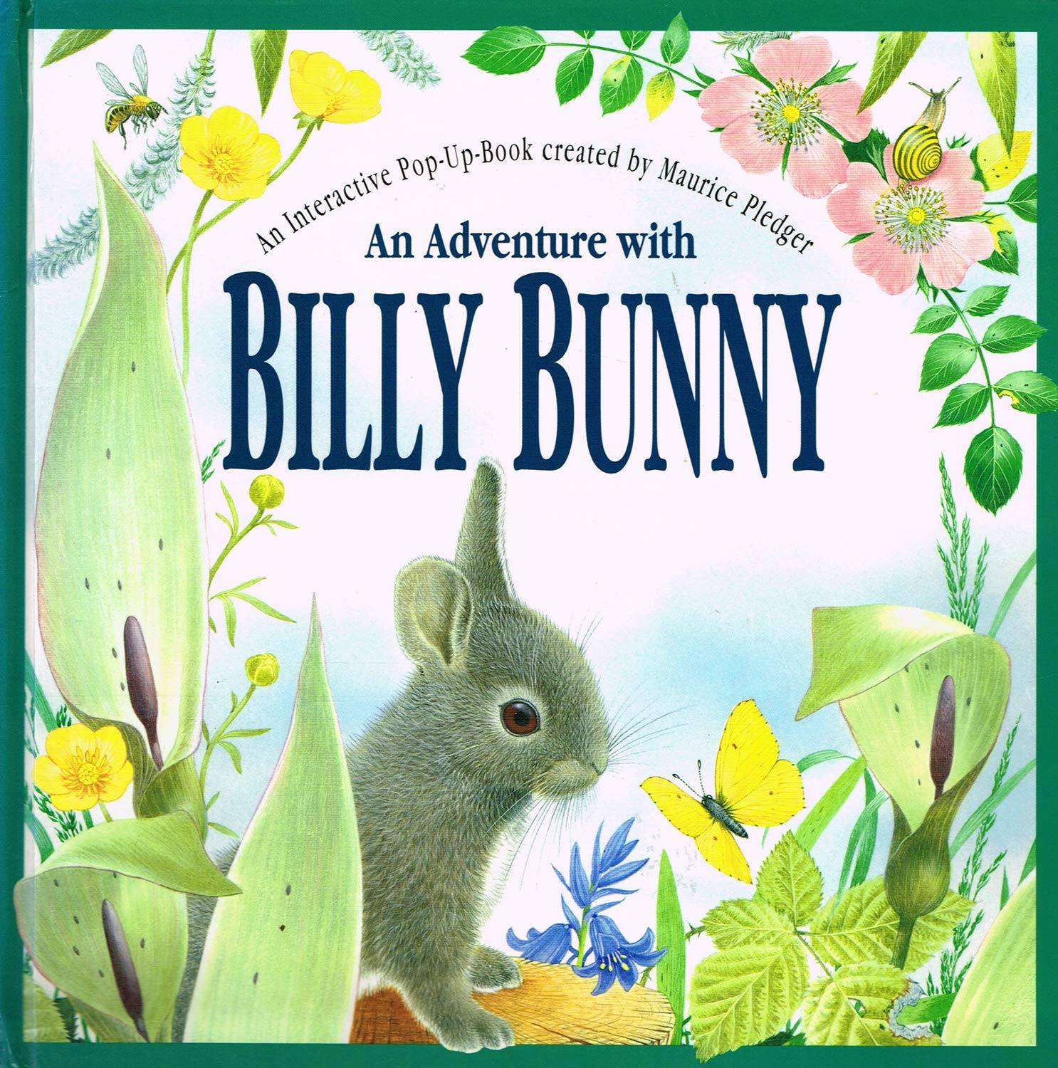 An Adventure With Billy Bunny : PeekAndFind,New