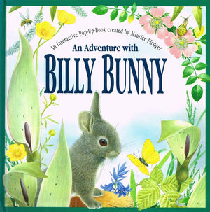 An Adventure With Billy Bunny : PeekAndFind,New