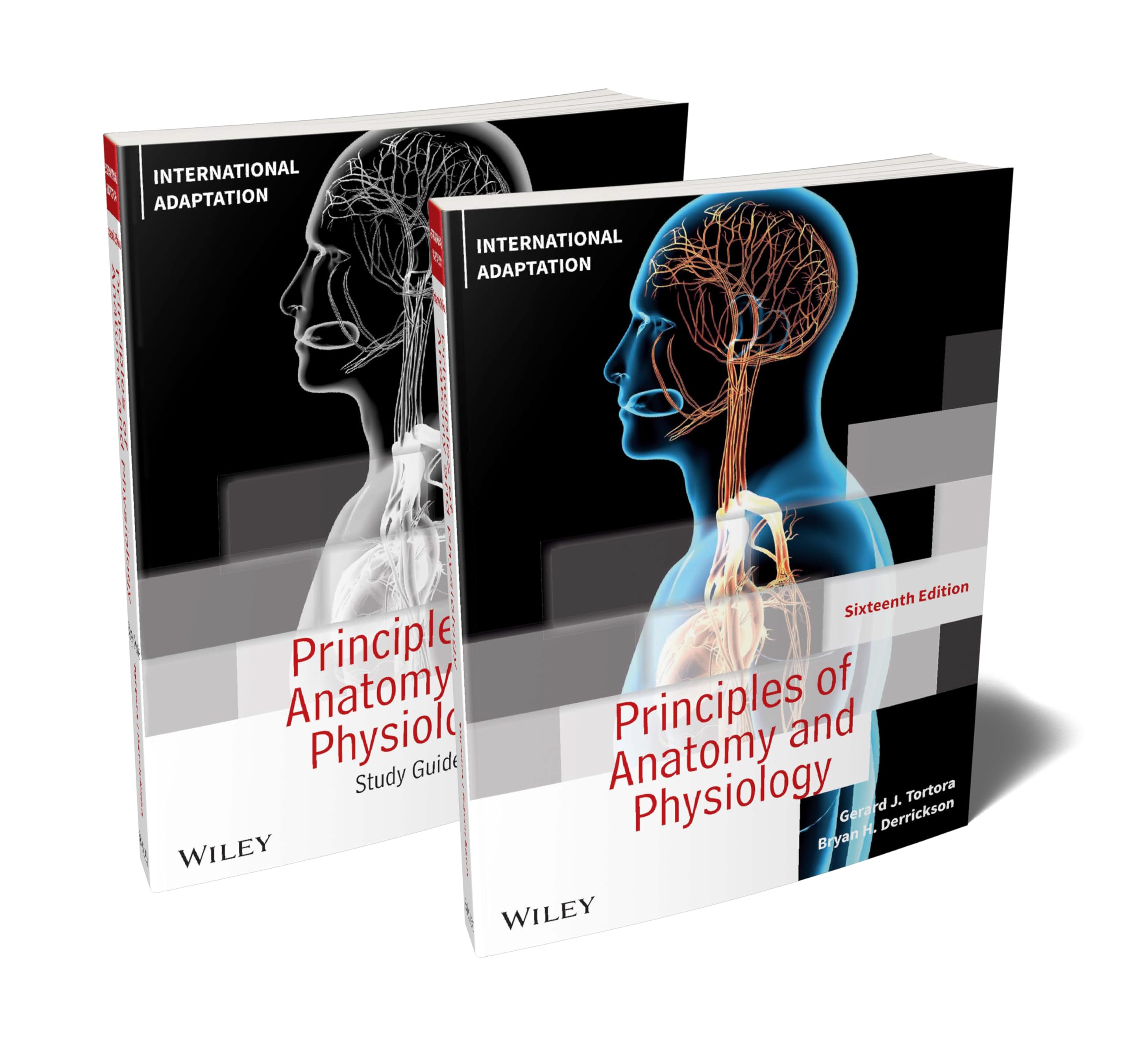 Principles Of Anatomy And Physiology, 16E International Adaptation Set