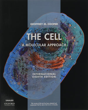 The Cell XE: A Molecular Approach,Used