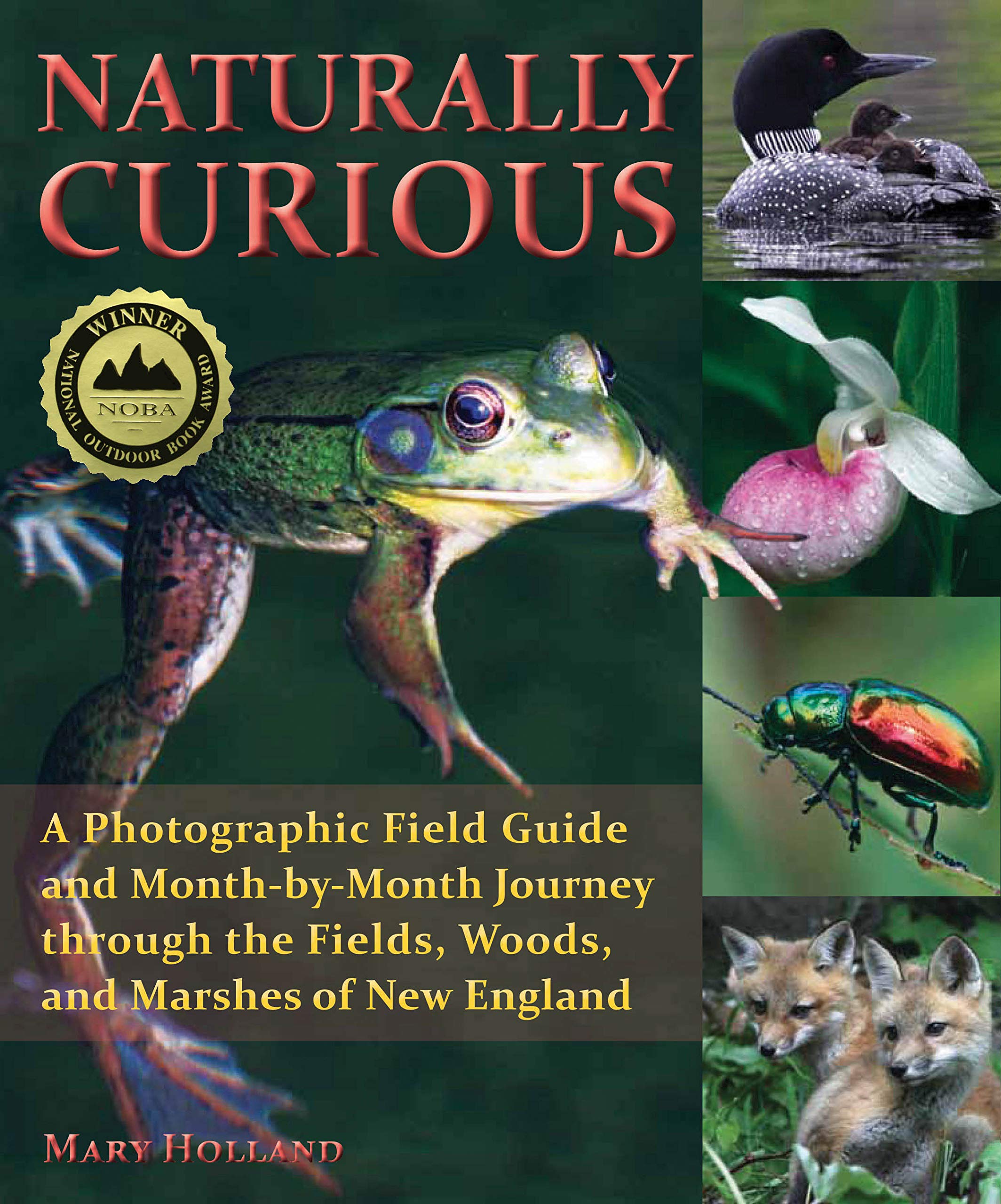 Naturally Curious: A Photographic Field Guide and MonthbyMonth Journey Through the Fields, Woods, and Marshes of New England,Used