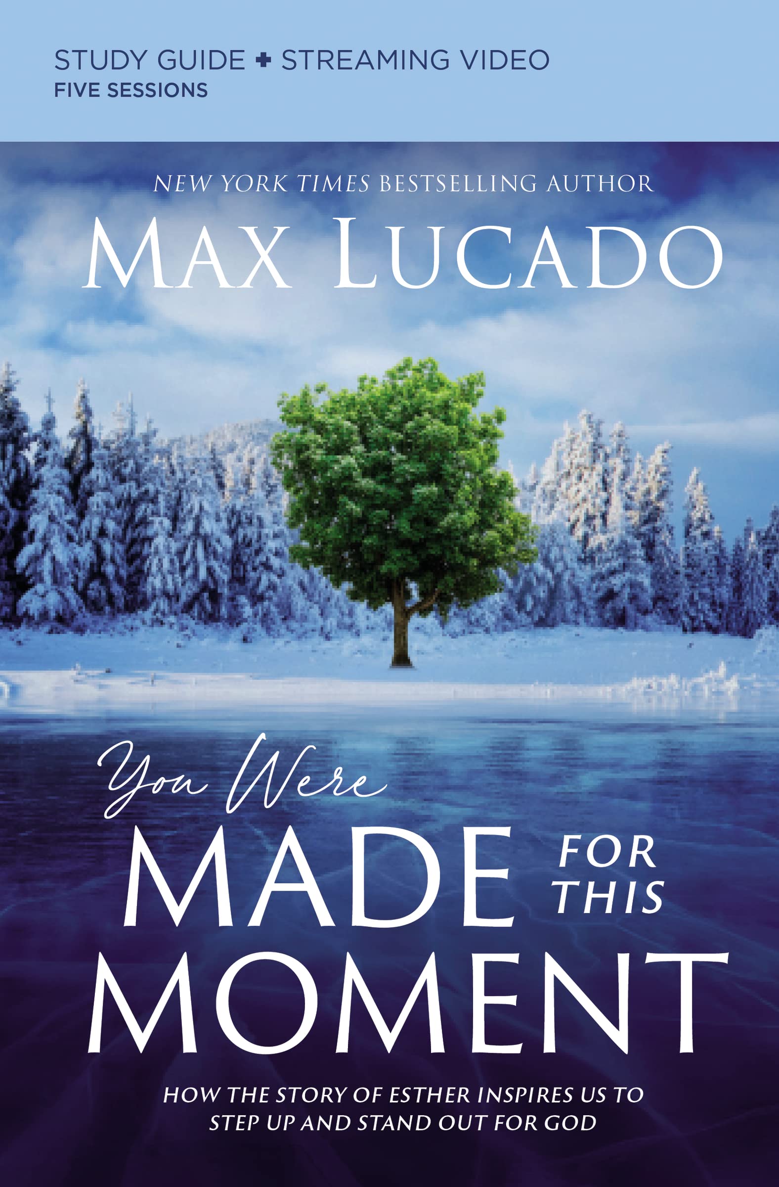 You Were Made for This Moment Bible Study Guide & Streaming Video by HarperChristian Resources - Inspired by the Story of Esther