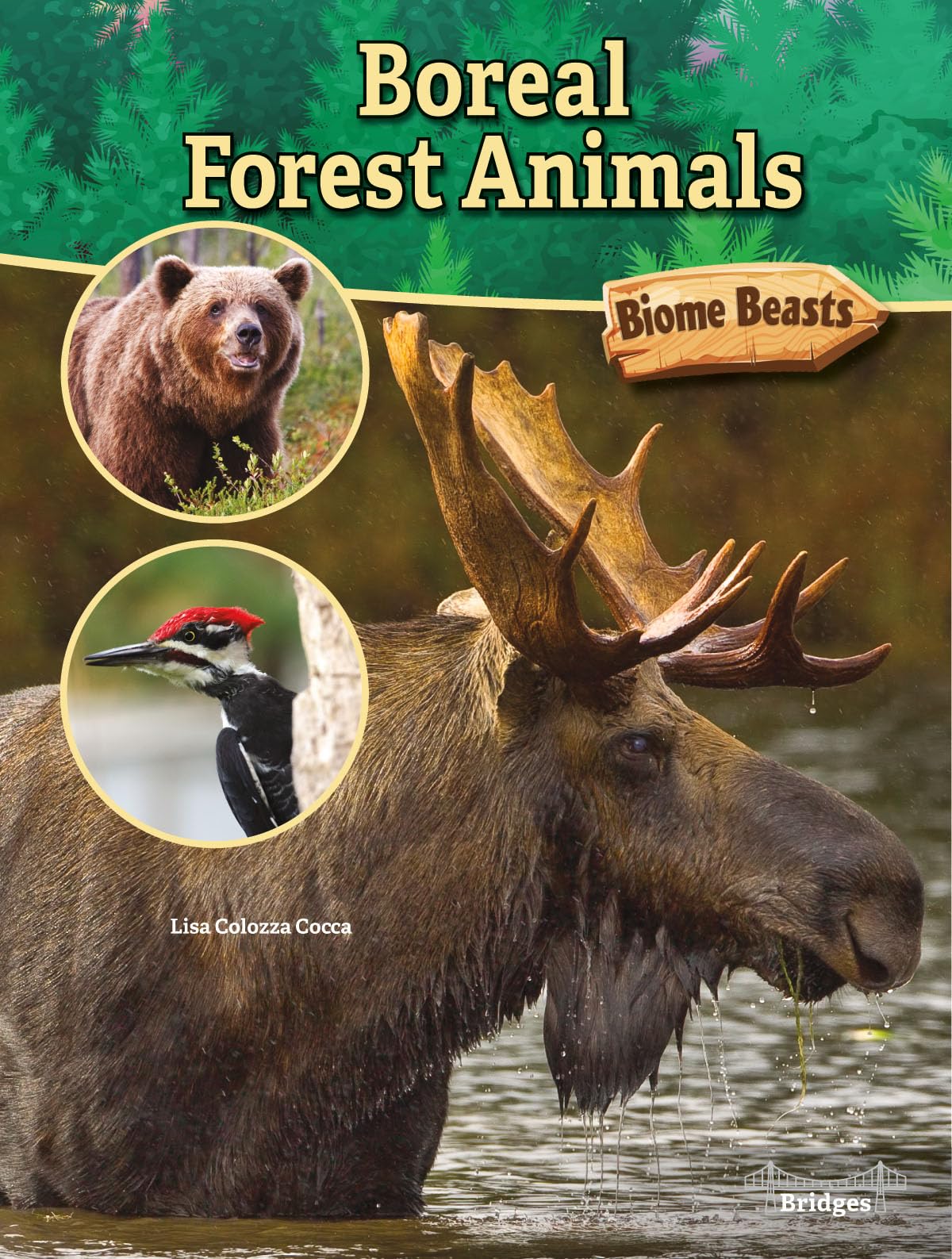 Rourke Educational Media Bridges Boreal Forest Animals (Biome Beasts),Used