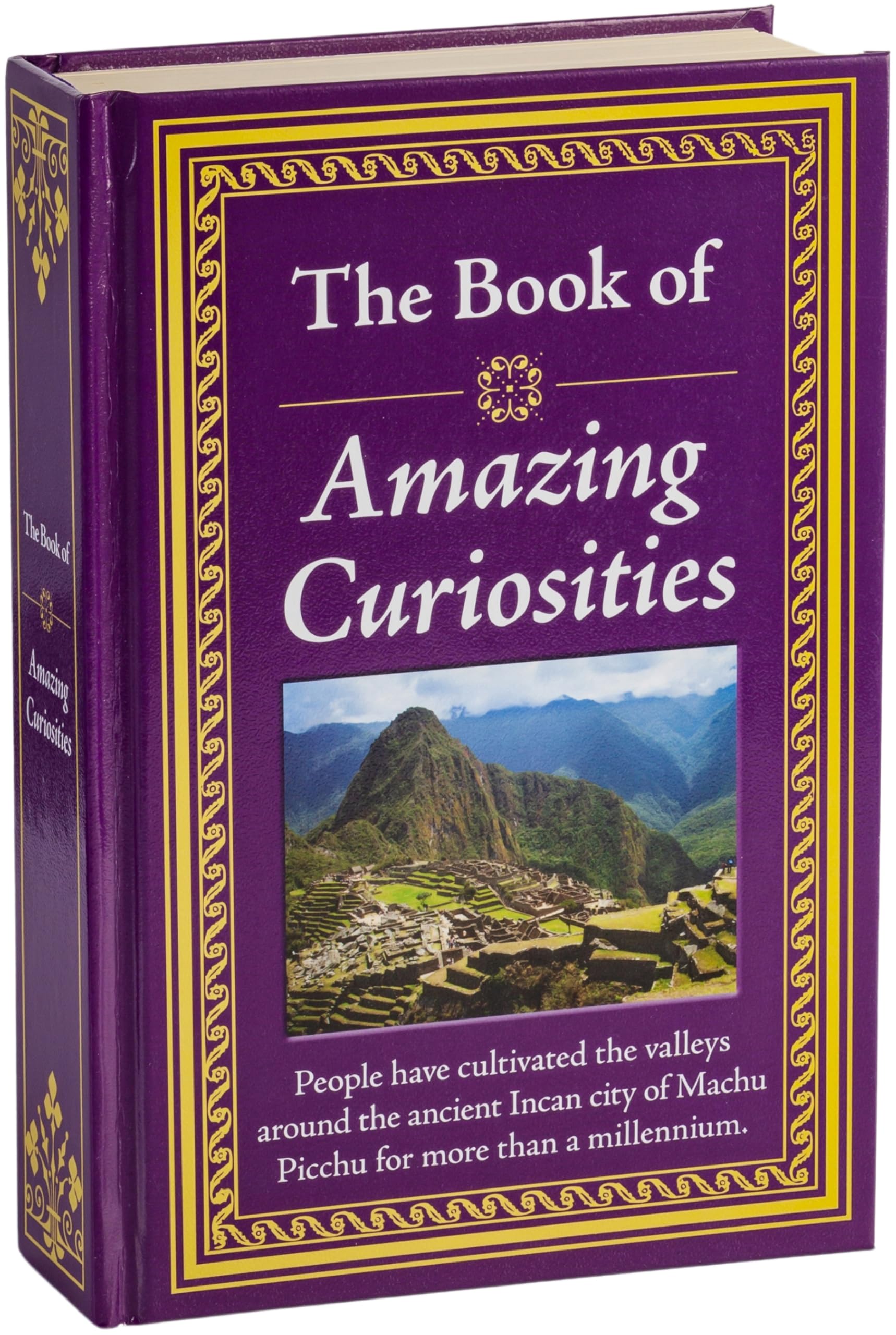 The Book Of Amazing Curiosities
