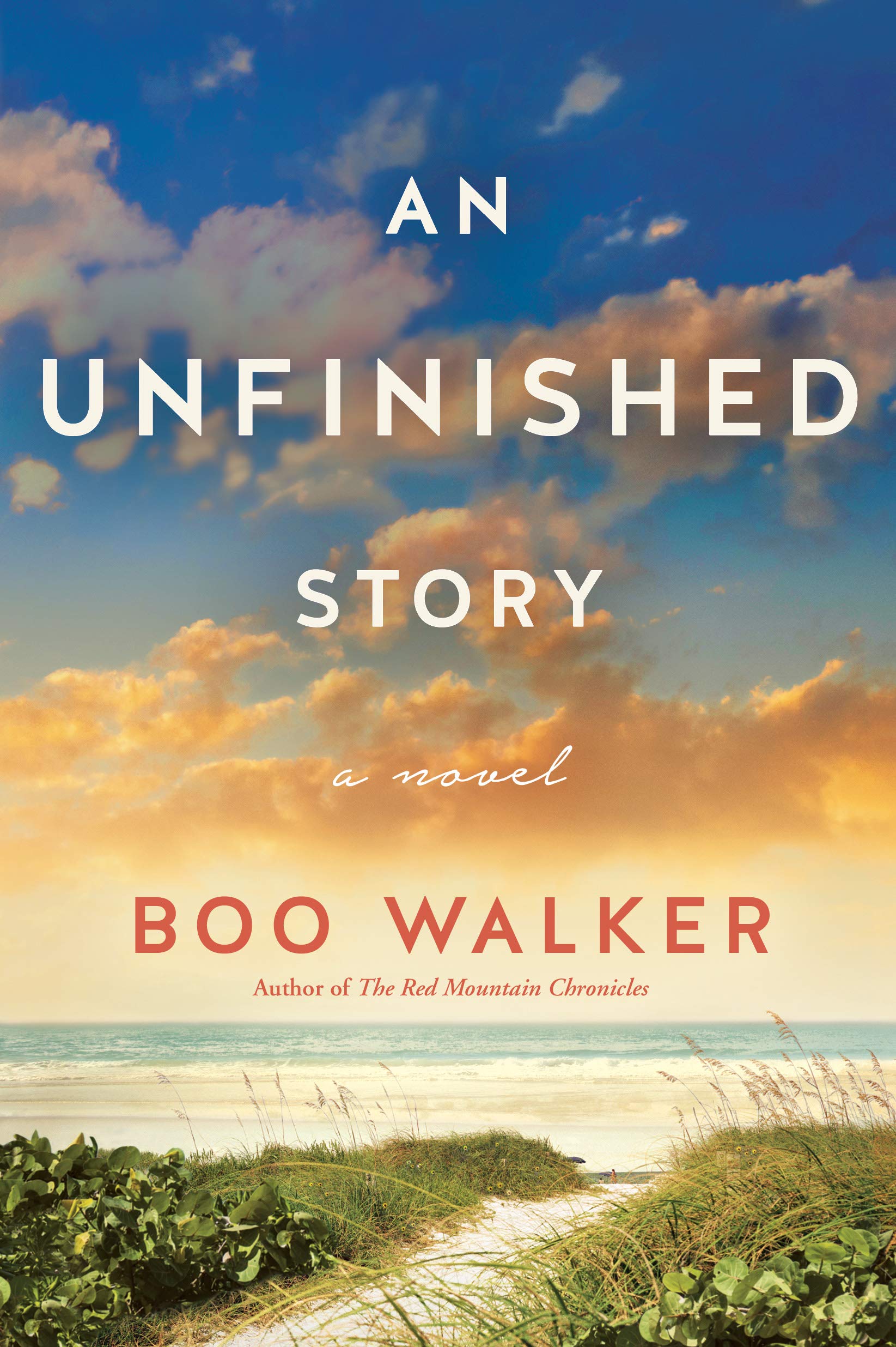 An Unfinished Story: A Novel,Used