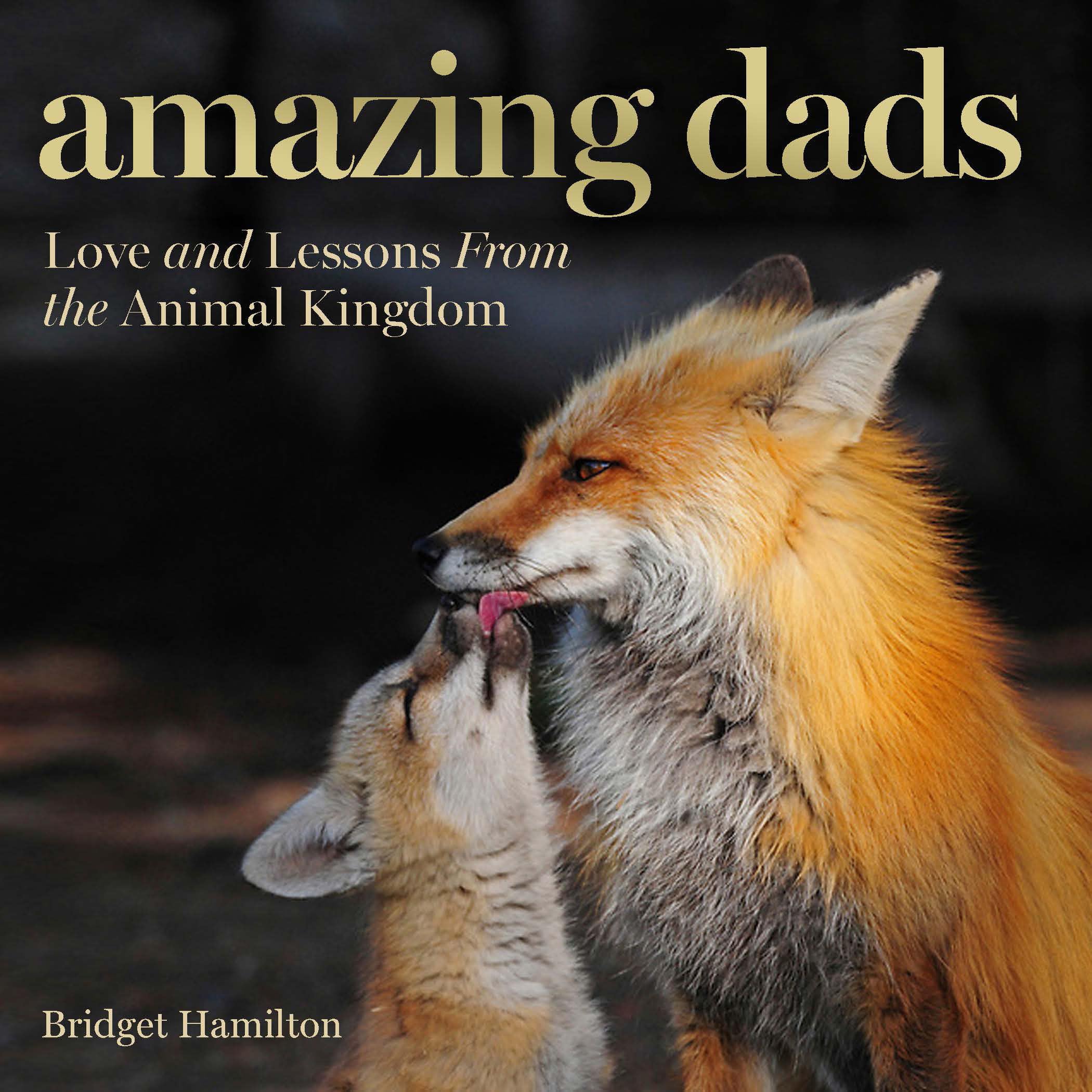 Amazing Dads: Love And Lessons From The Animal Kingdom,Used
