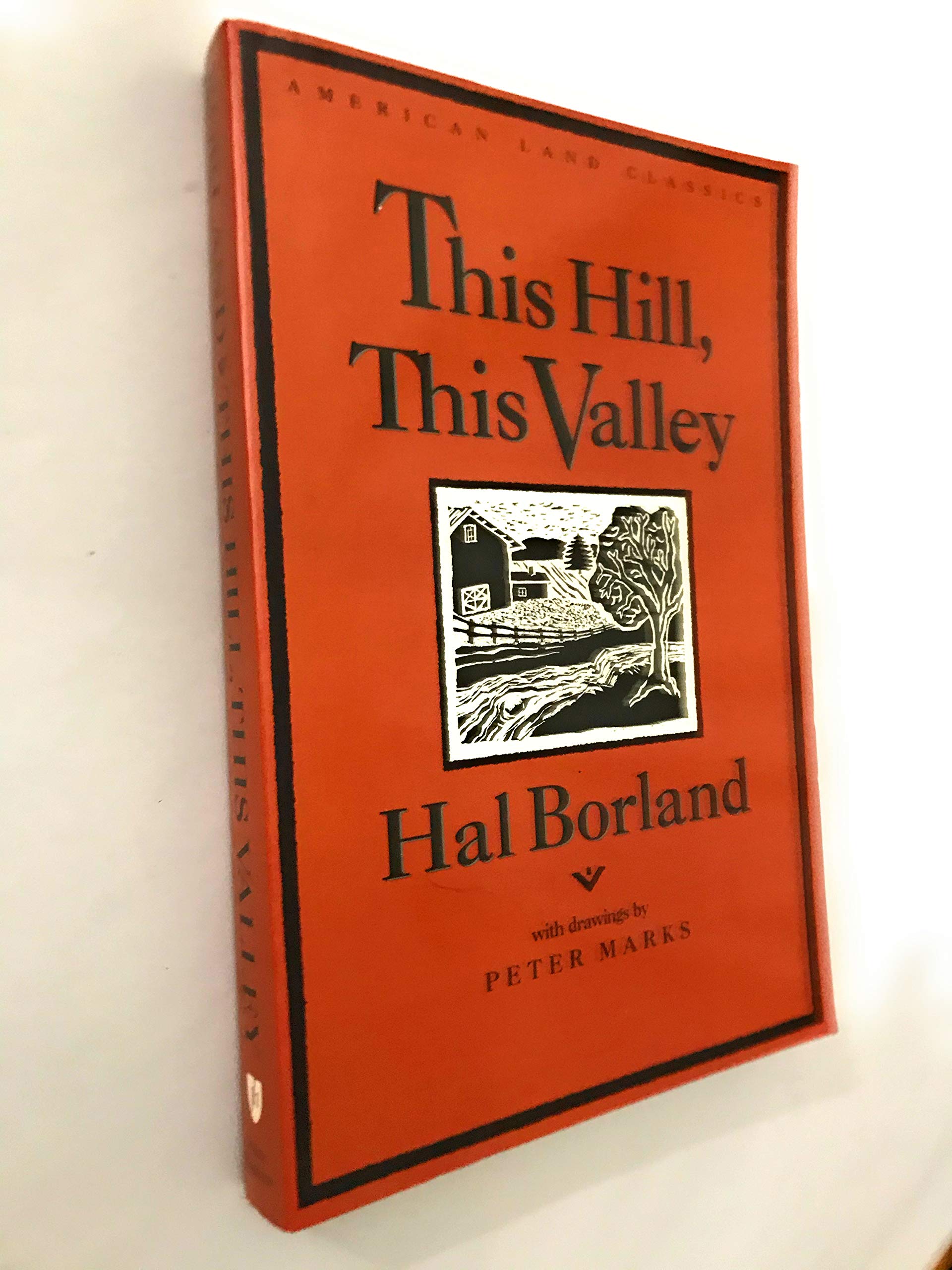 This Hill, This Valley (American Land Classics),Used