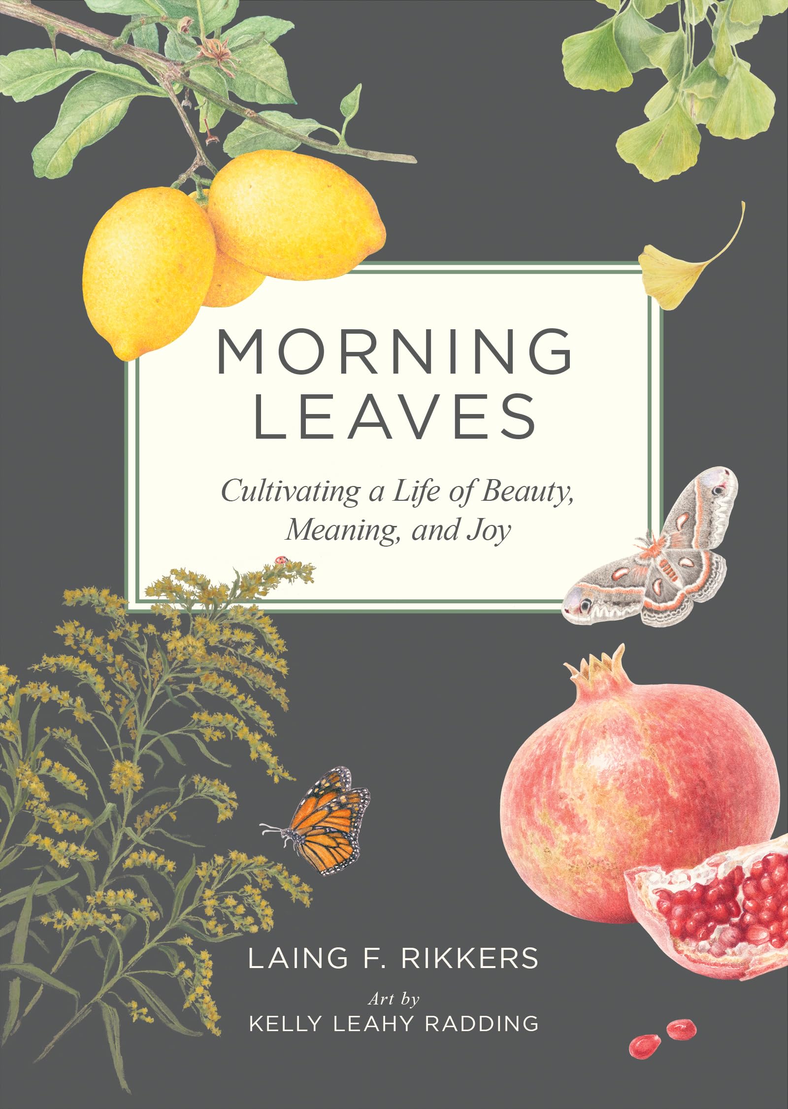 Morning Leaves: Cultivating A Life Of Beauty, Meaning, And Joy