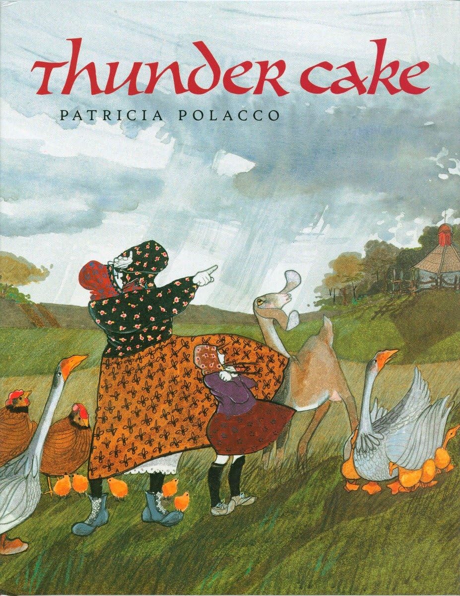 Thunder Cake,Used