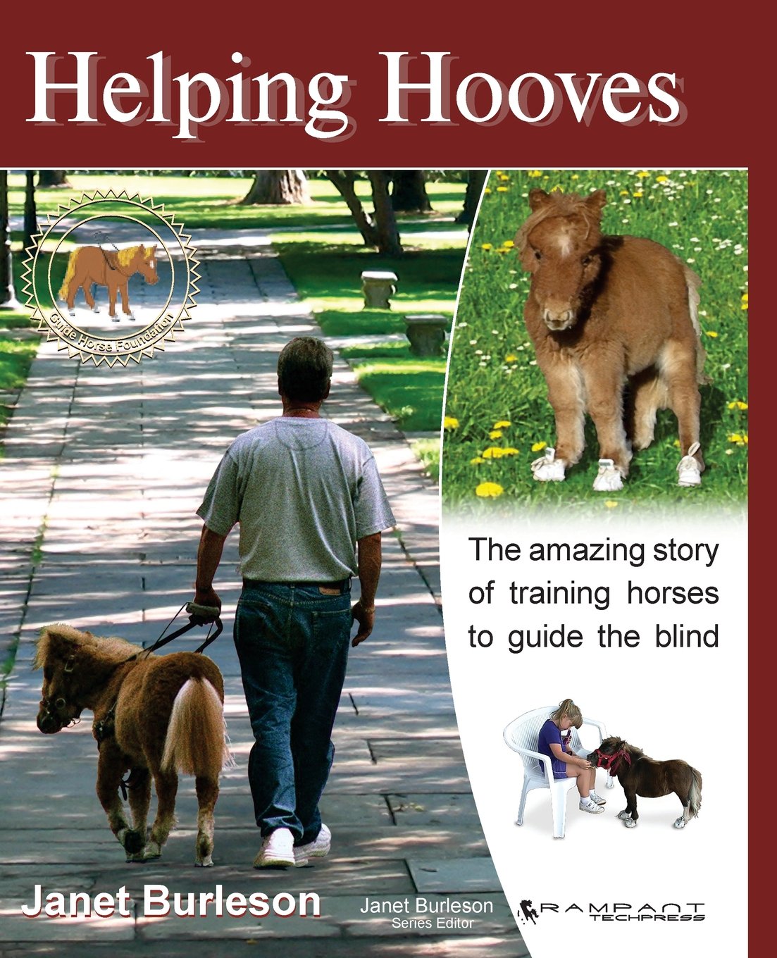 Helping Hooves: Training Miniature Horses as Guide Animals for the Blind (Equine InFocus),Used
