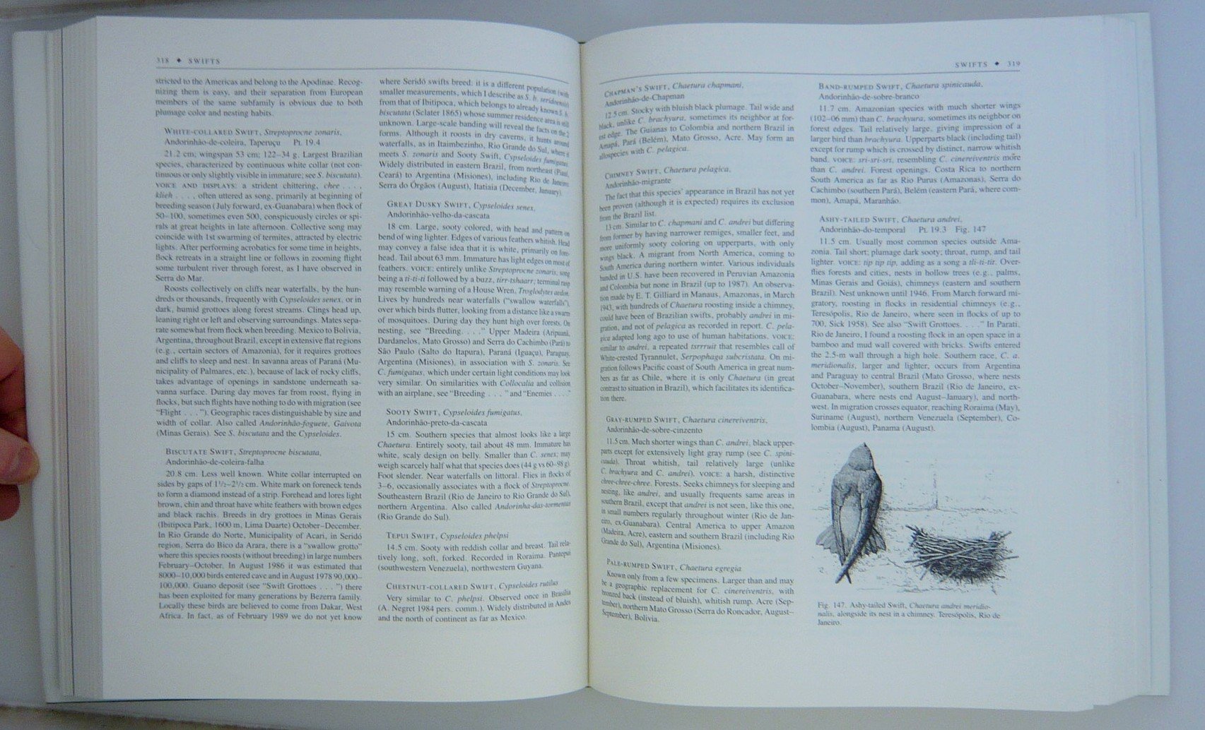 Birds In Brazil,Used
