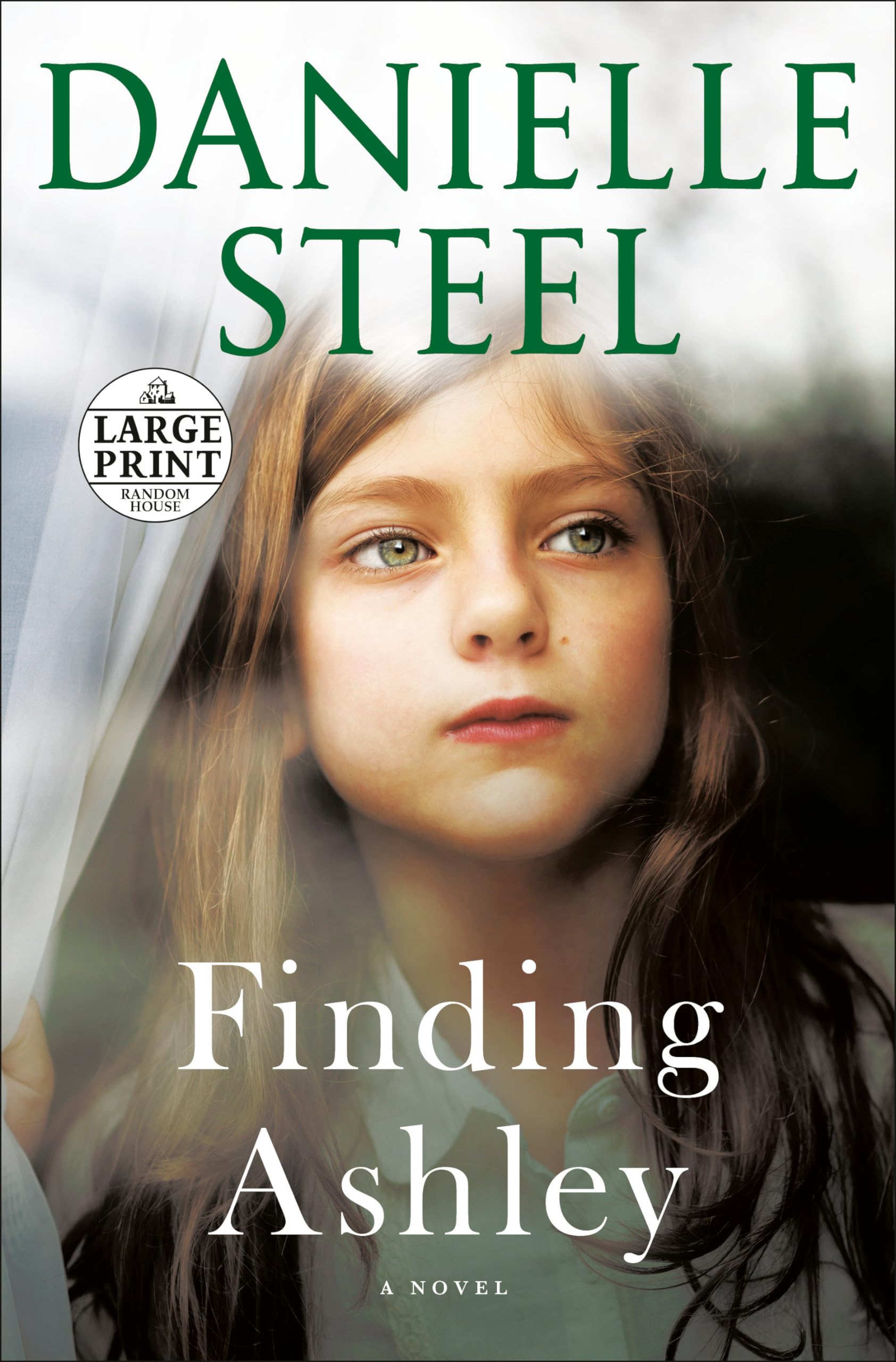 Finding Ashley: A Novel (Random House Large Print),Used