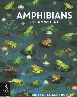 Amphibians Everywhere (Animals Everywhere)