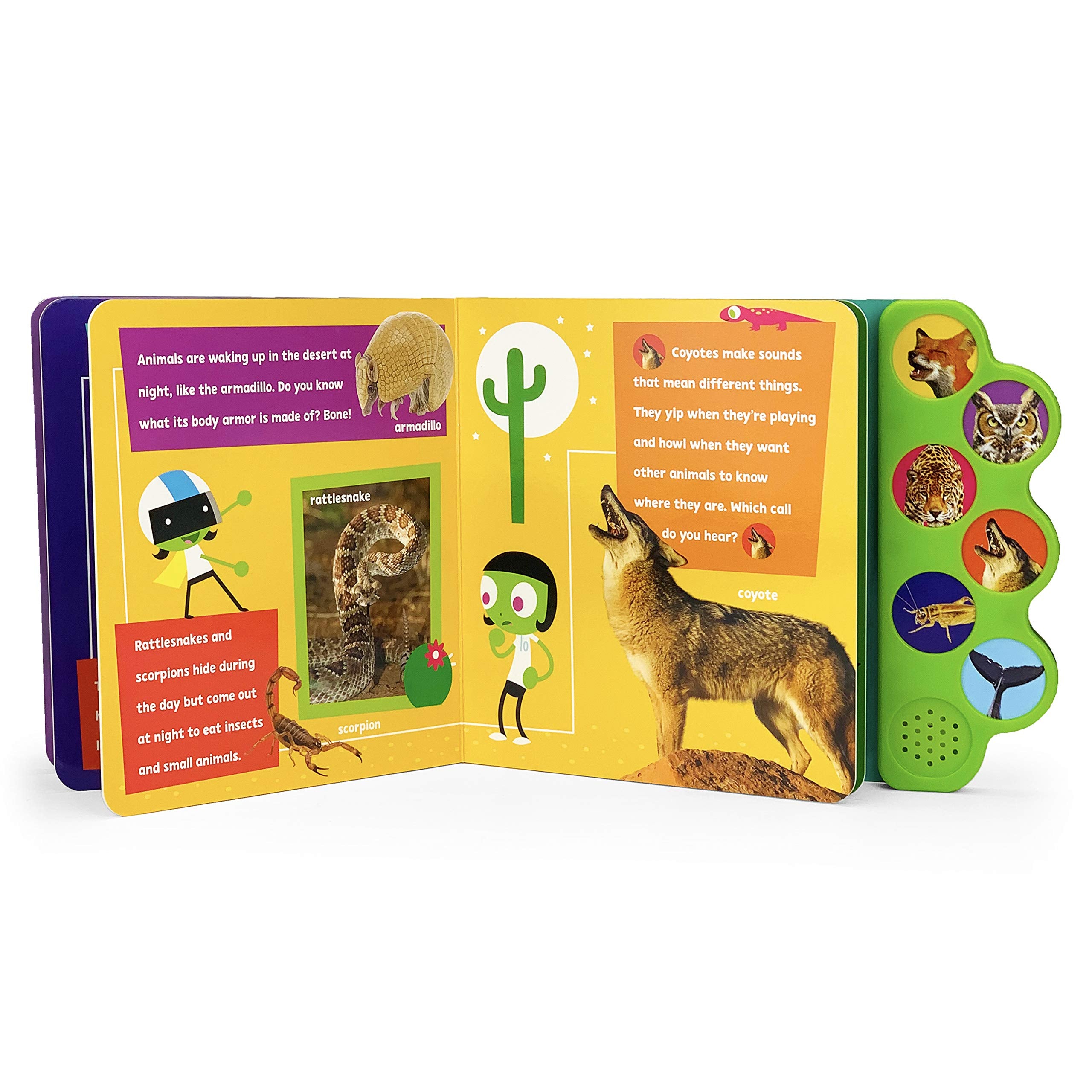 Animals at Night (PBS Kids)