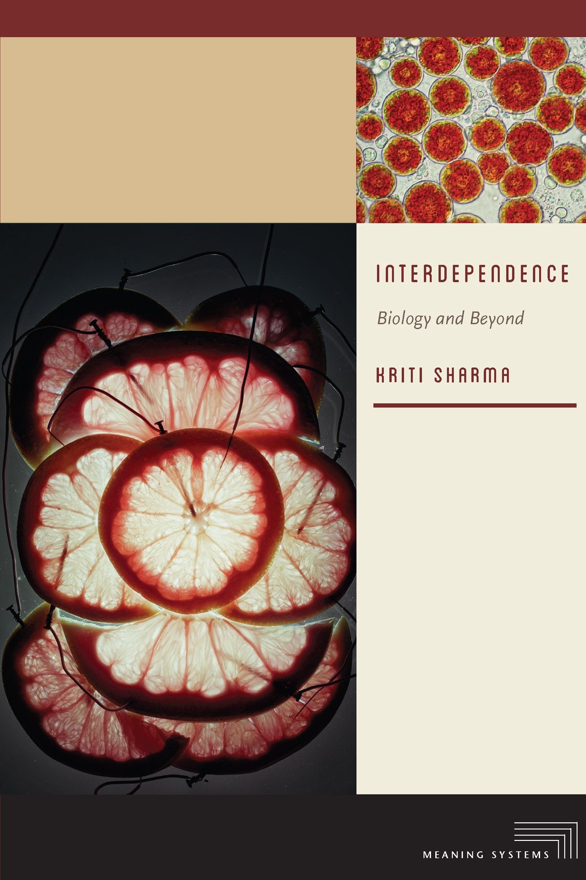 Interdependence: Biology and Beyond (Meaning Systems),Used